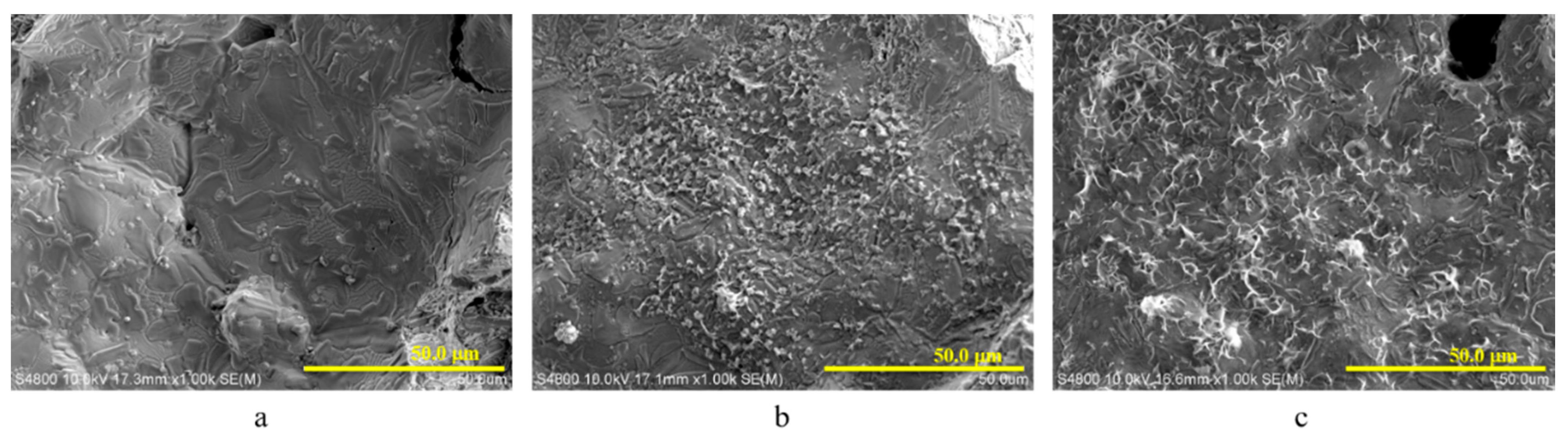 Coatings 11 00949 g002 550