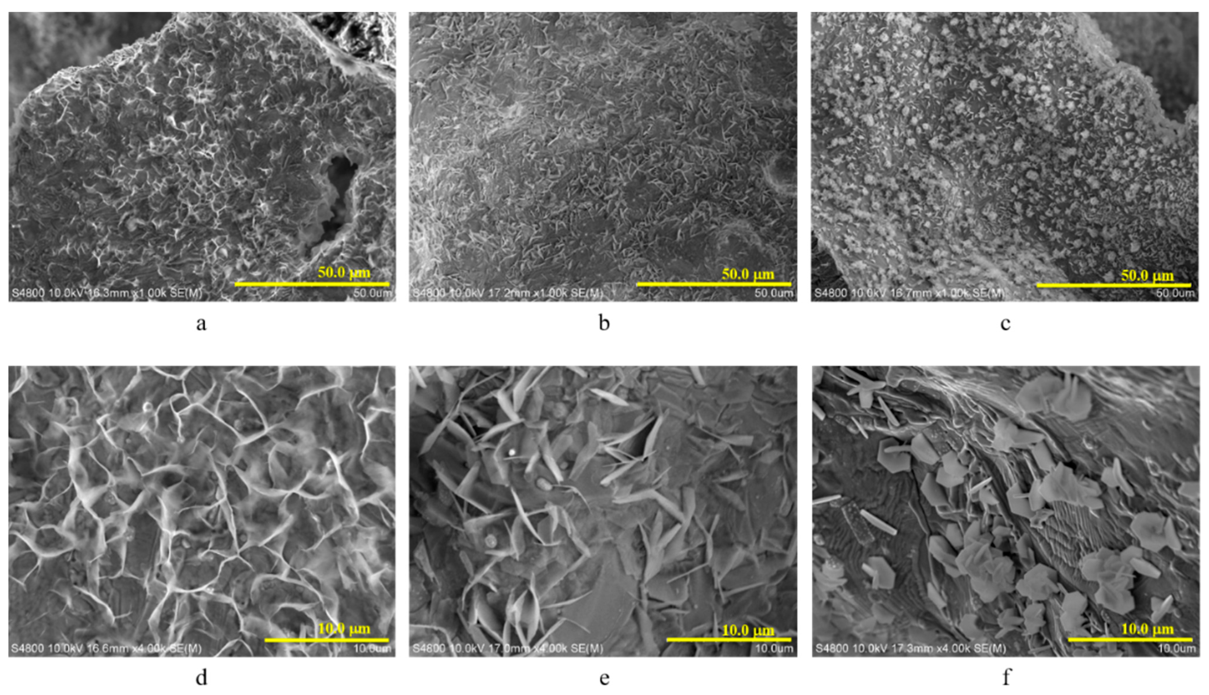 Coatings 11 00949 g003 550