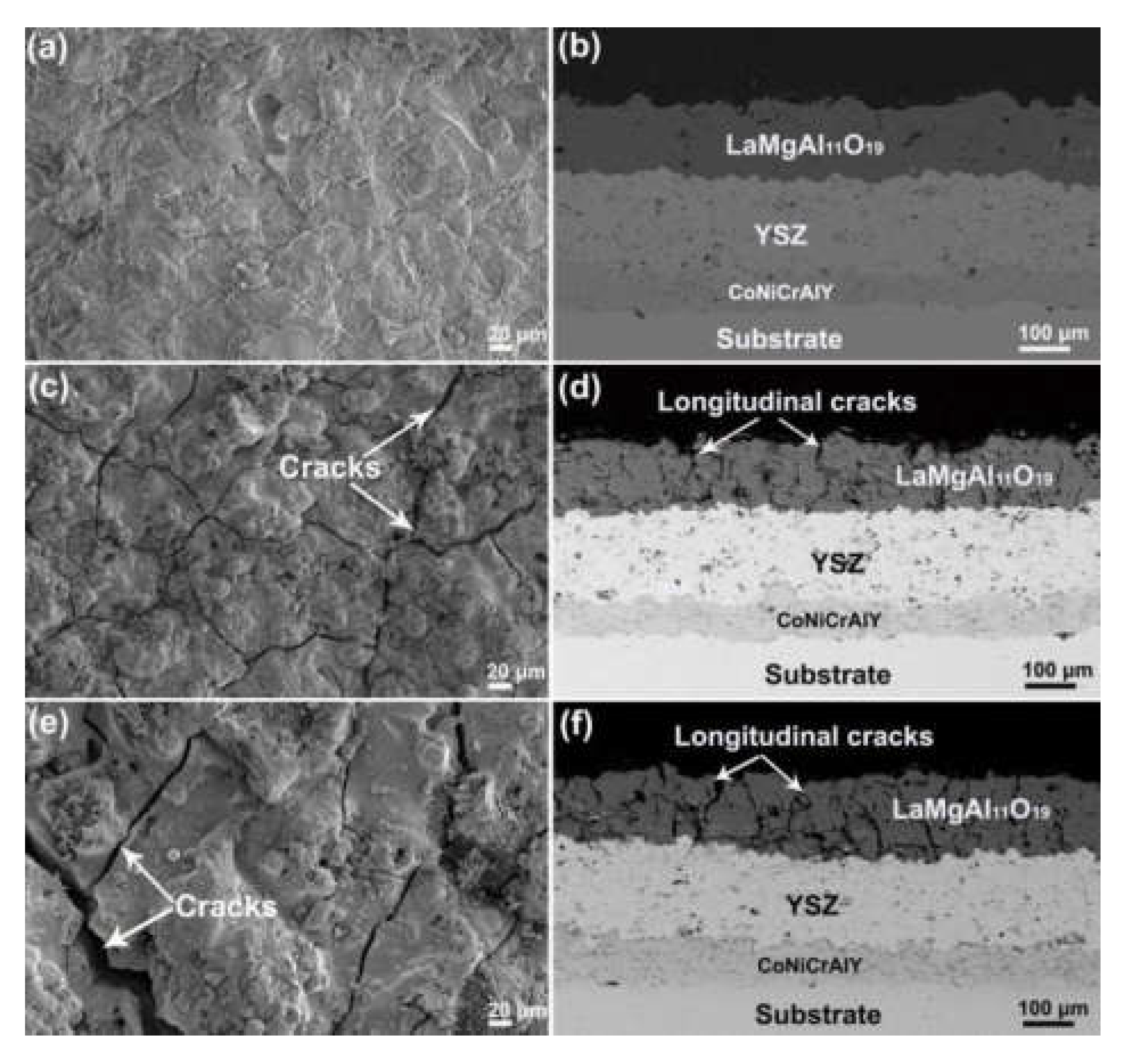 Coatings 11 00951 g002 550