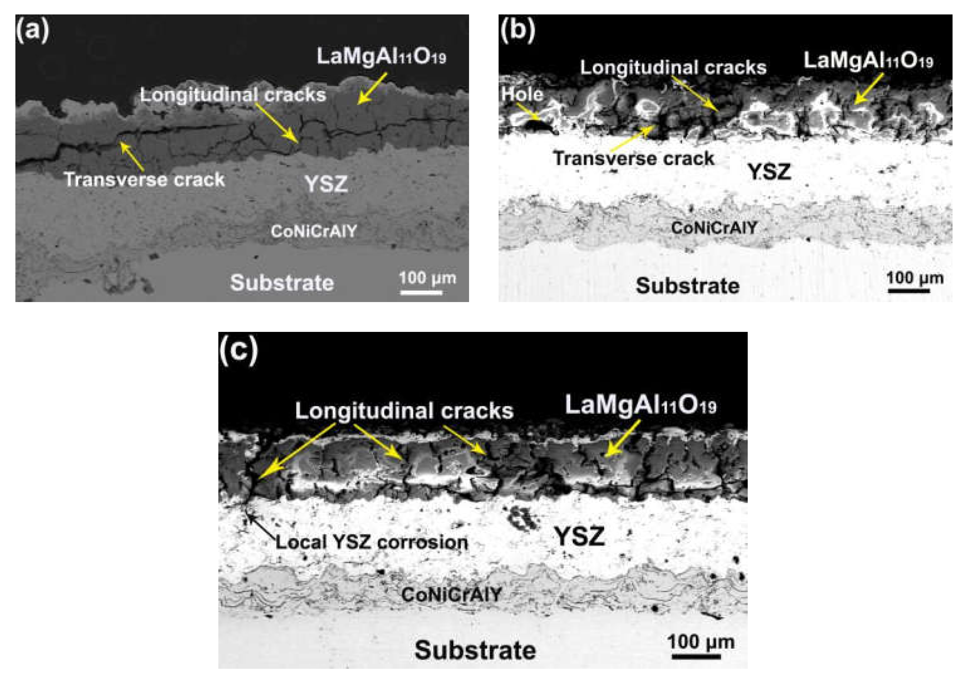 Coatings 11 00951 g006 550