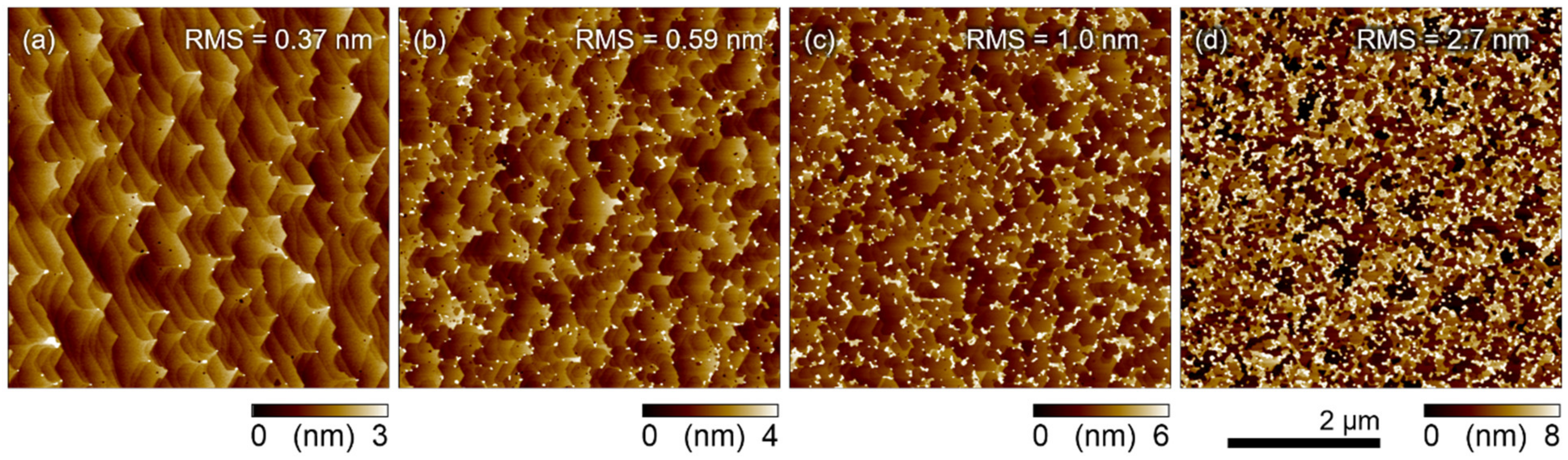 Coatings 11 00956 g008 550