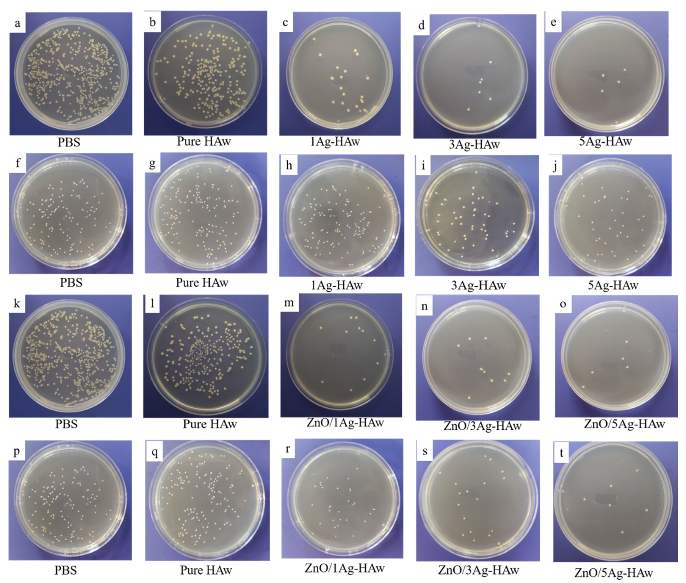 Coatings 11 00957 g005