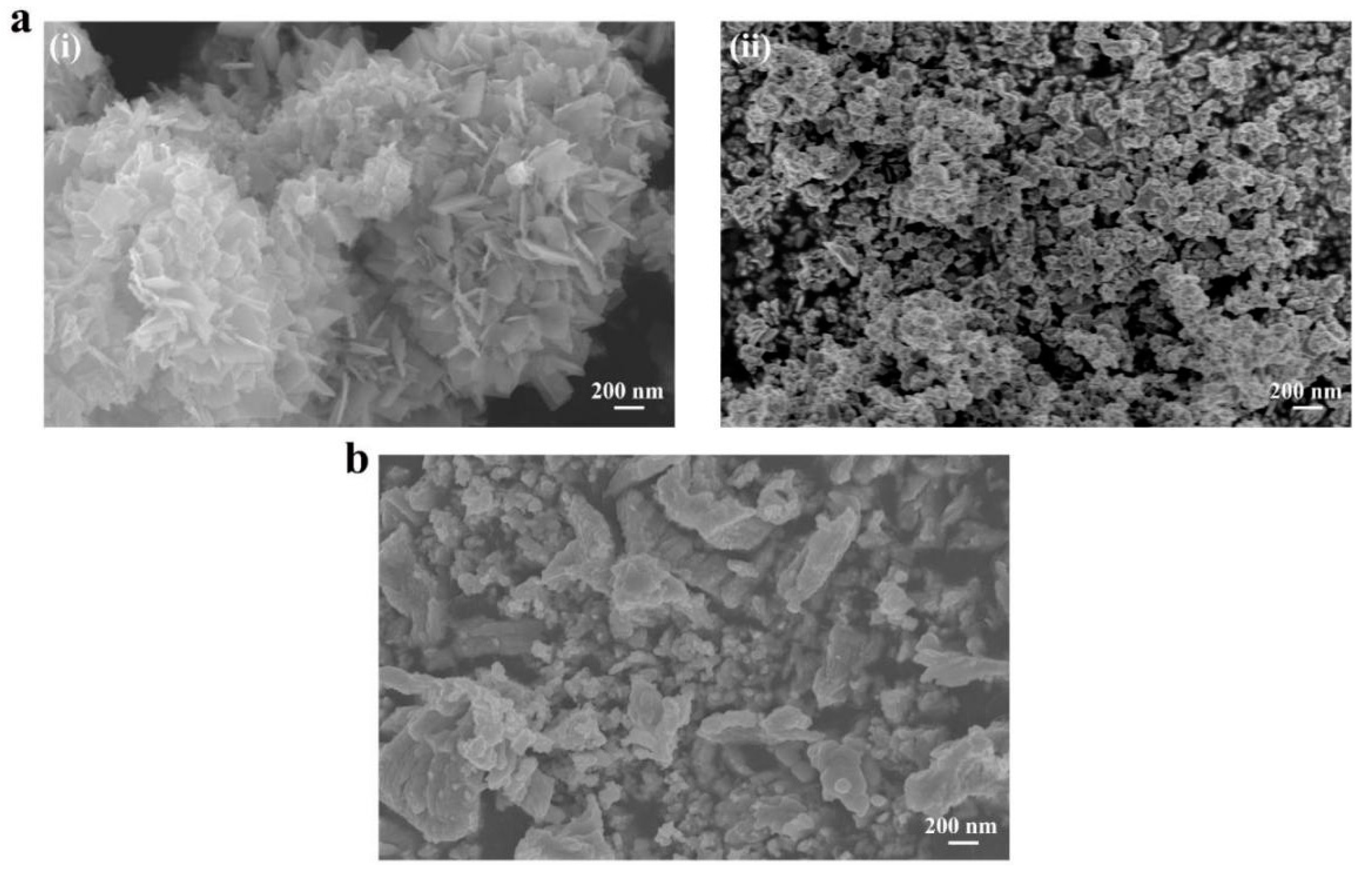 Coatings 11 00959 g002