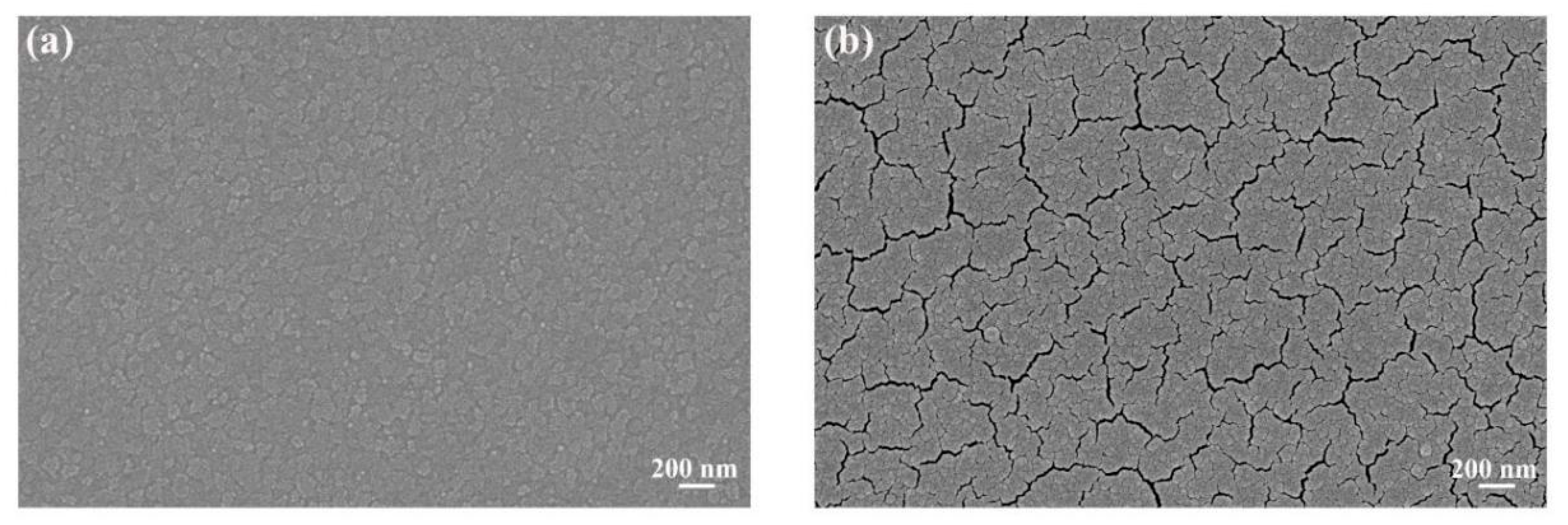 Coatings 11 00959 g004