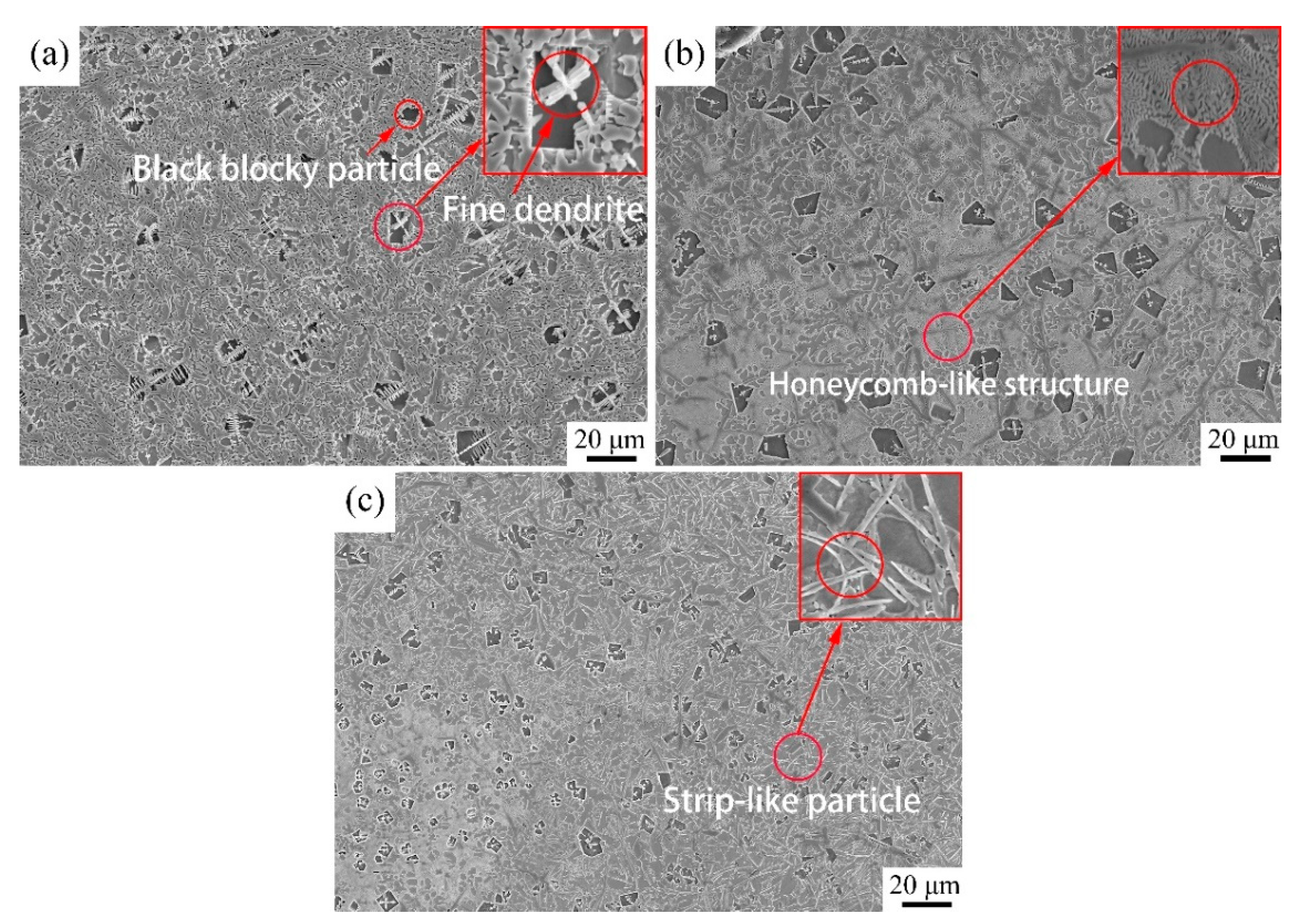 Coatings 11 00960 g004