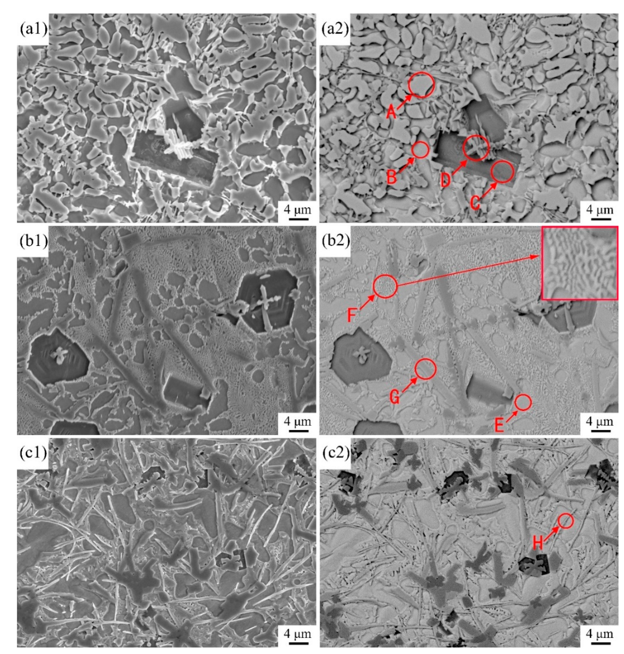 Coatings 11 00960 g005