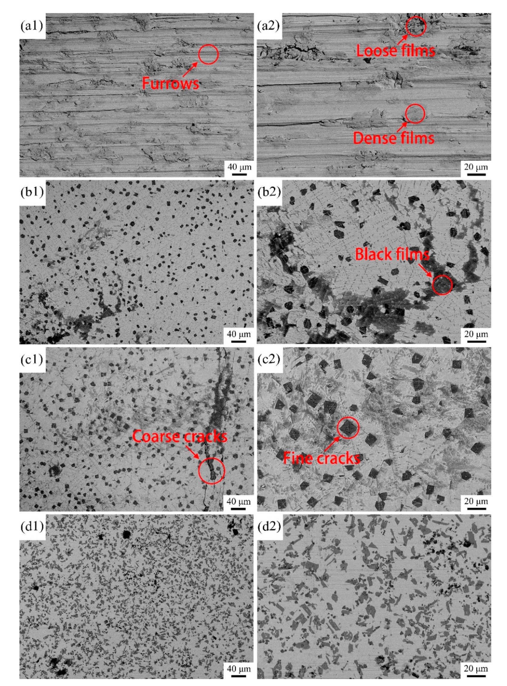 Coatings 11 00960 g010