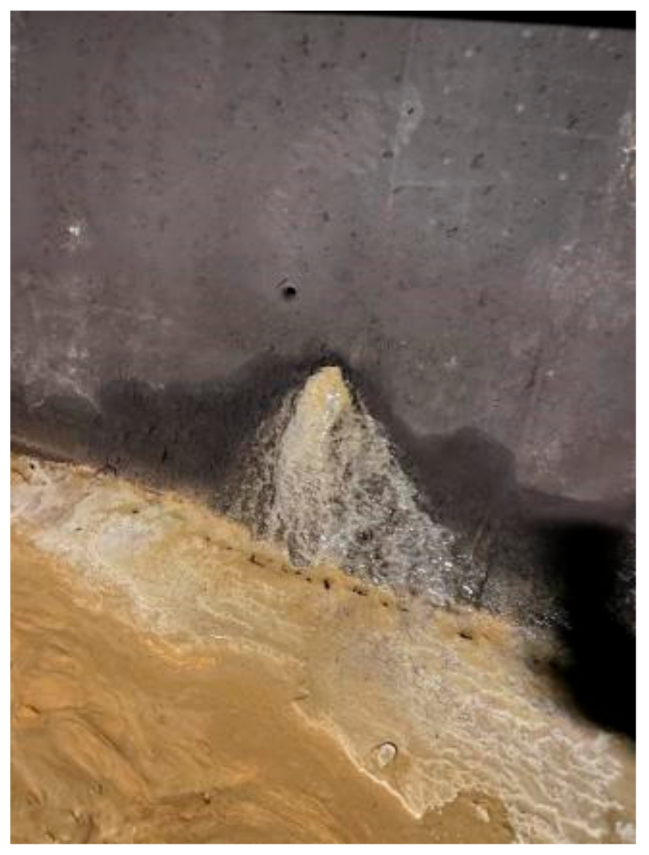 Coatings 11 00961 g003