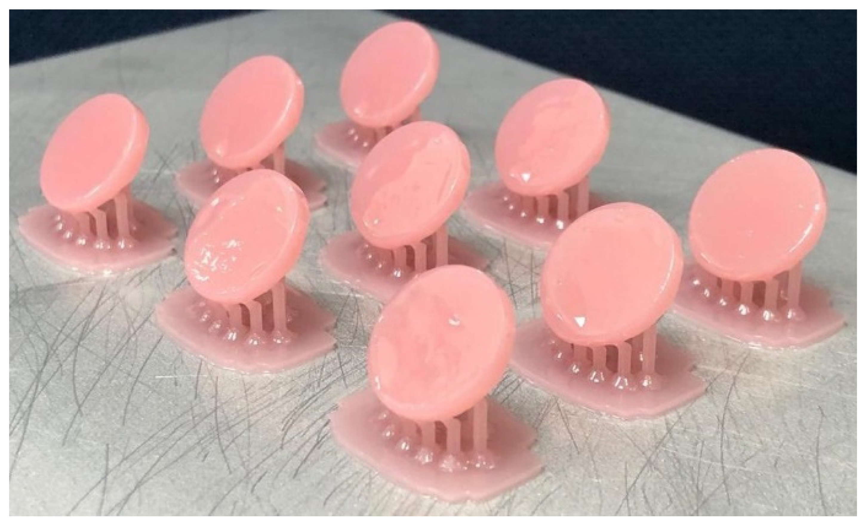 Coatings 11 00962 g001