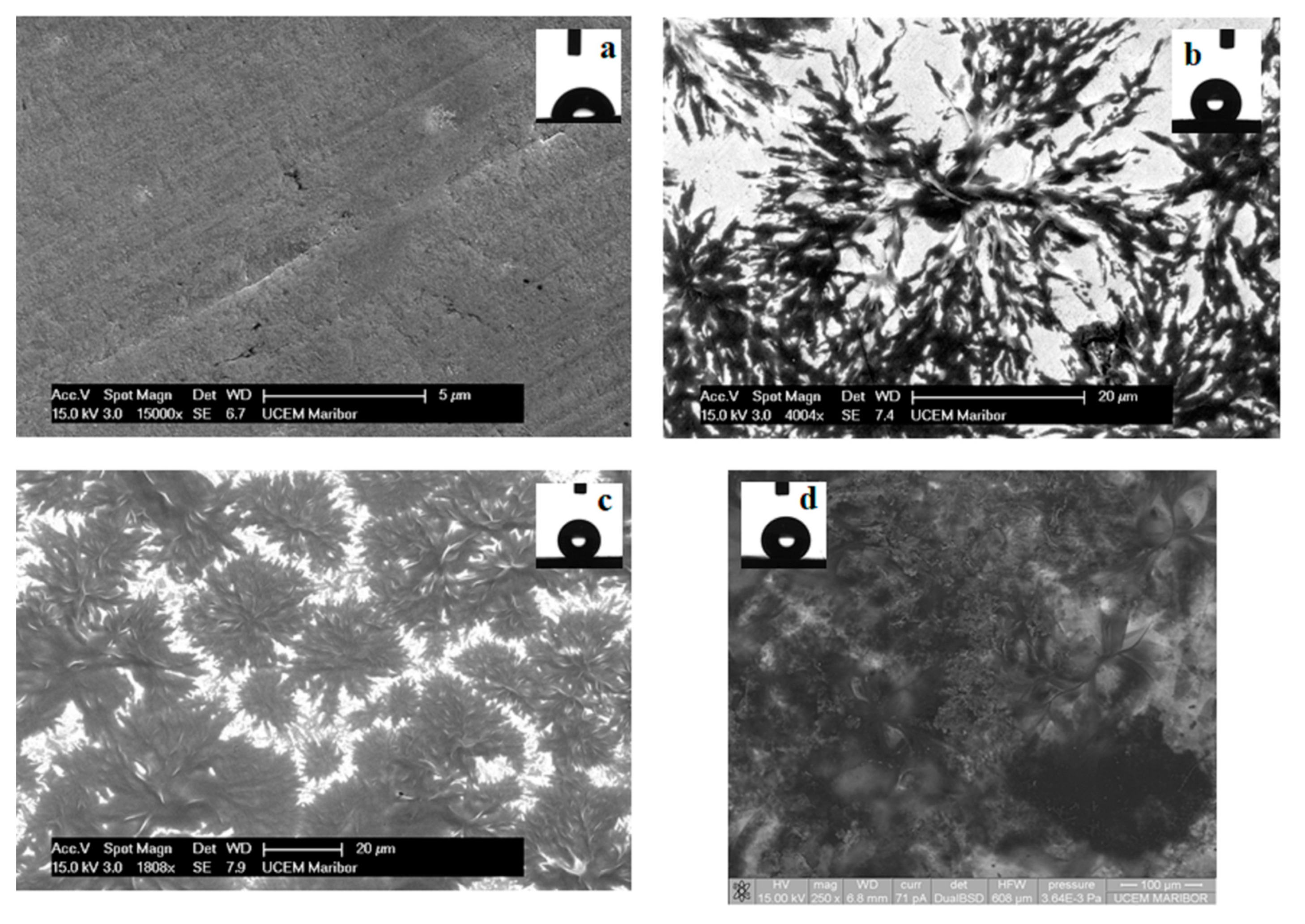 Coatings 11 00971 g001