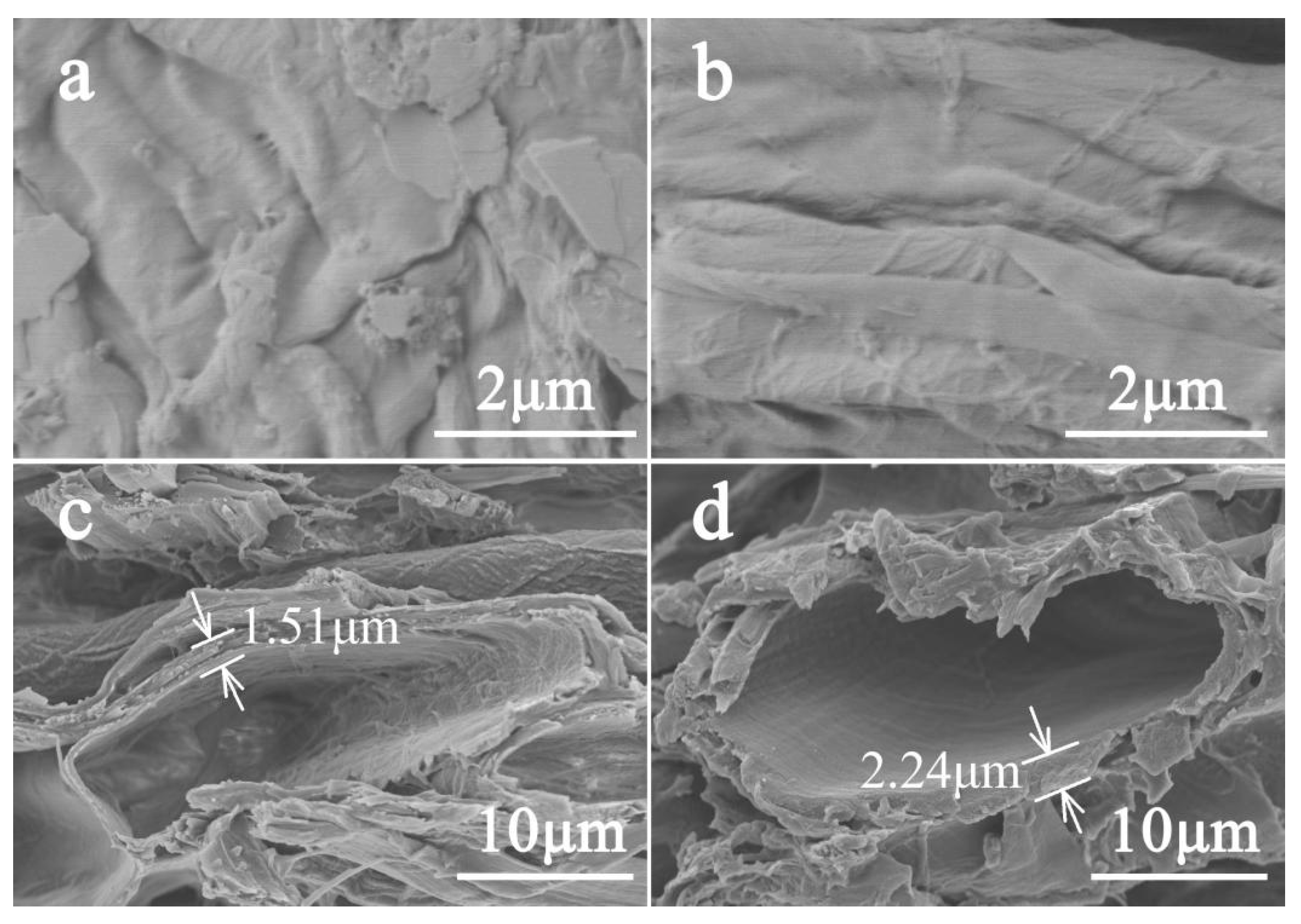 Coatings 11 00973 g003 Coatings 11 00973 g003
