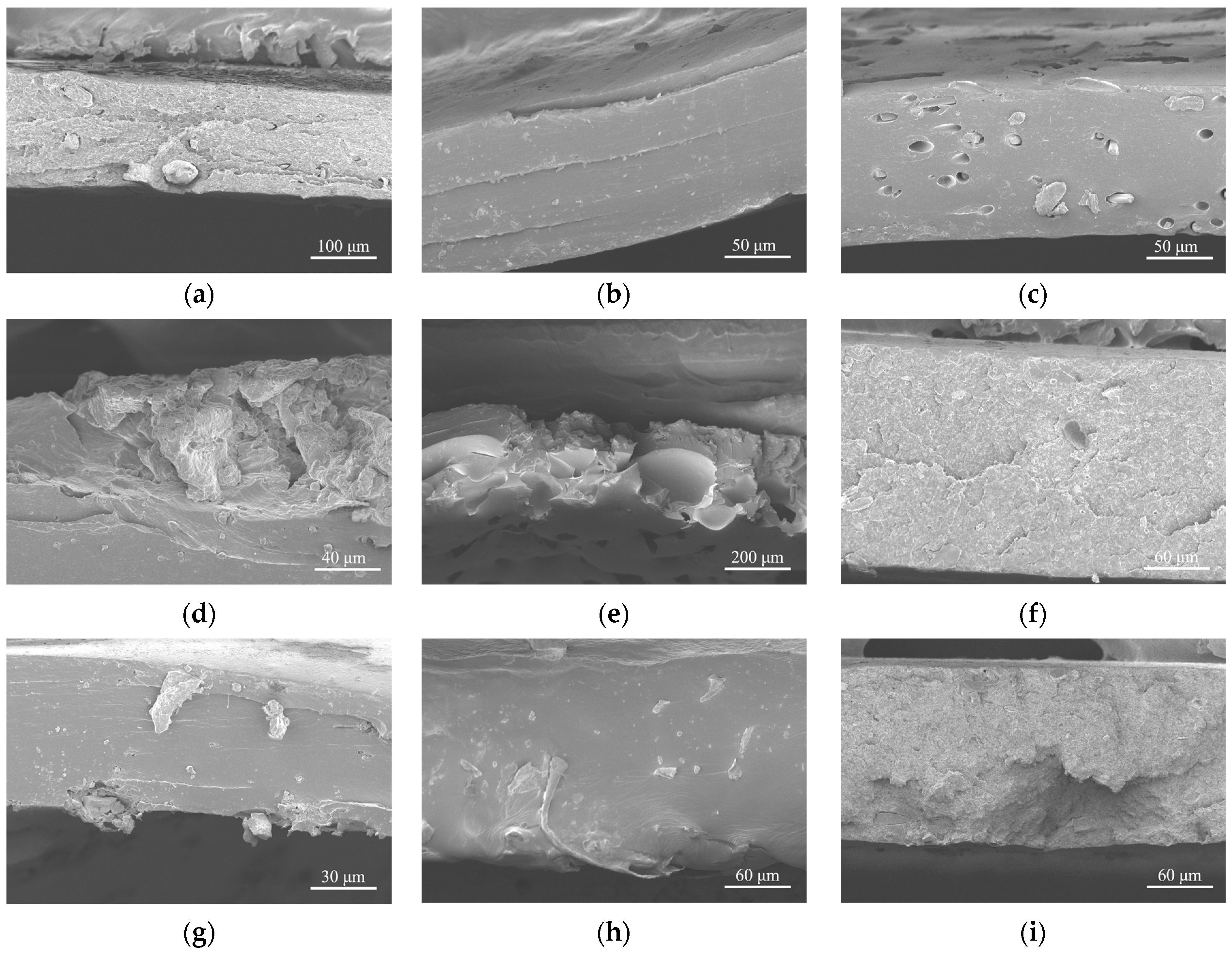 Coatings 11 00982 g006