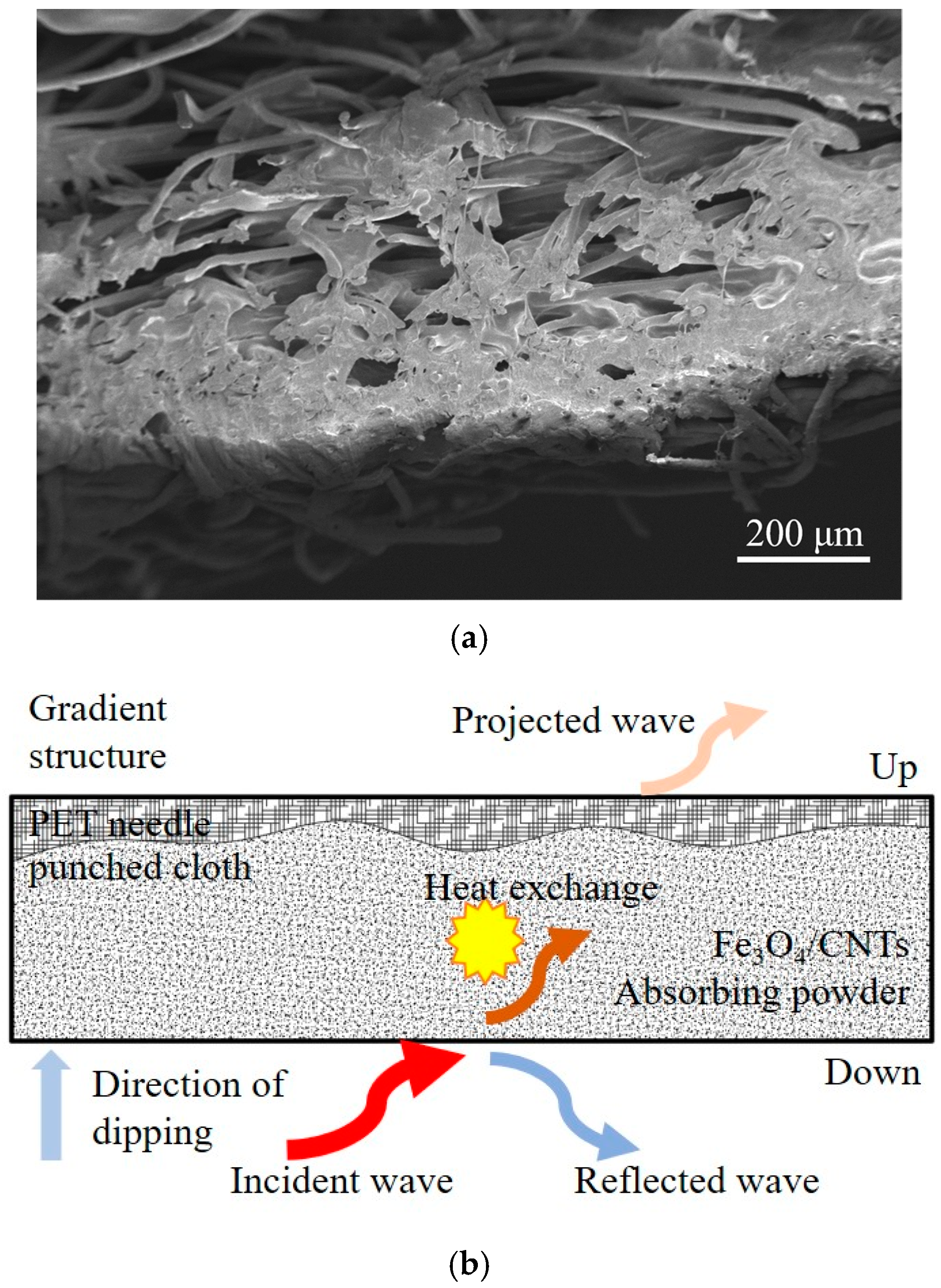 Coatings 11 00982 g008