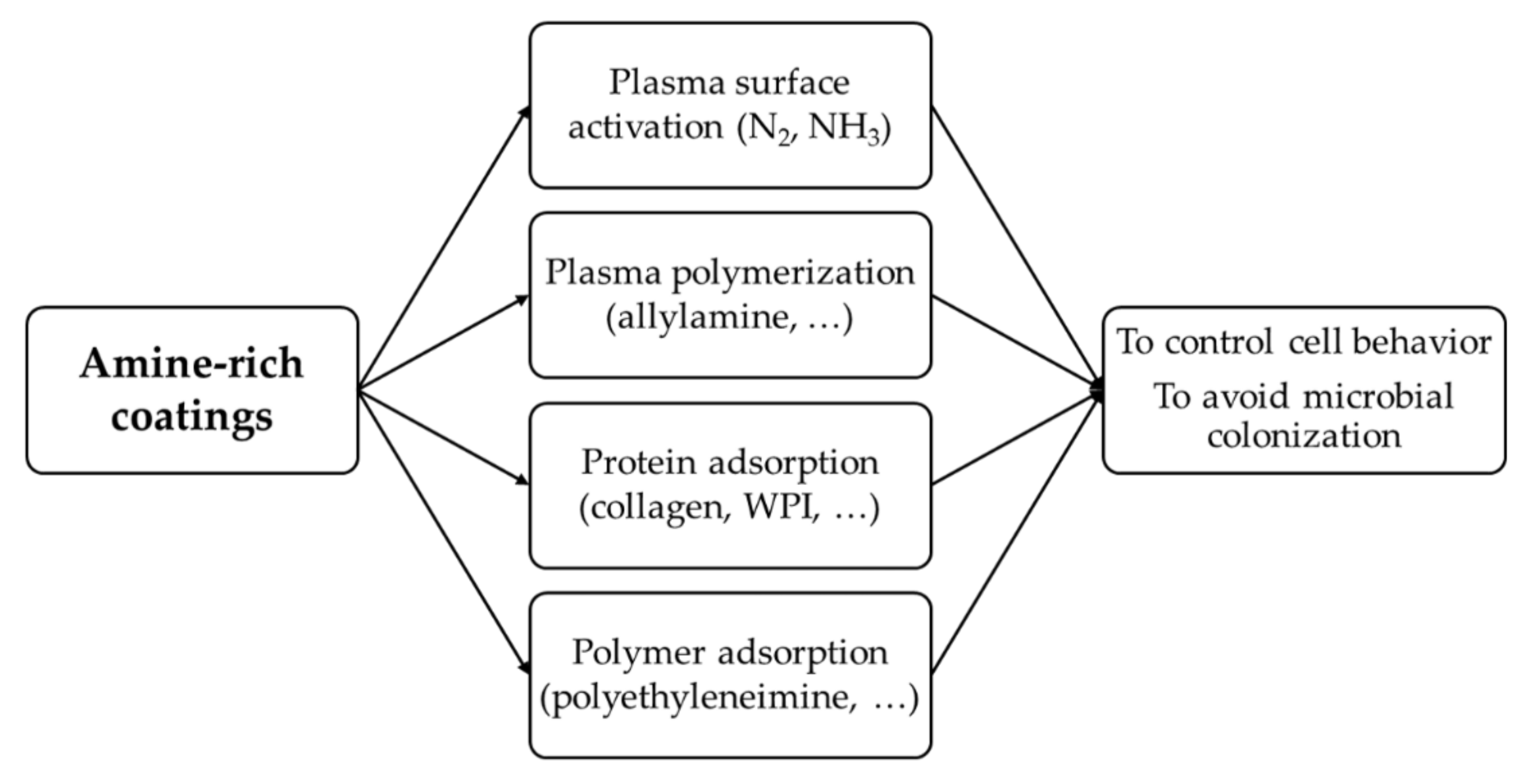 Coatings 11 00983 g001