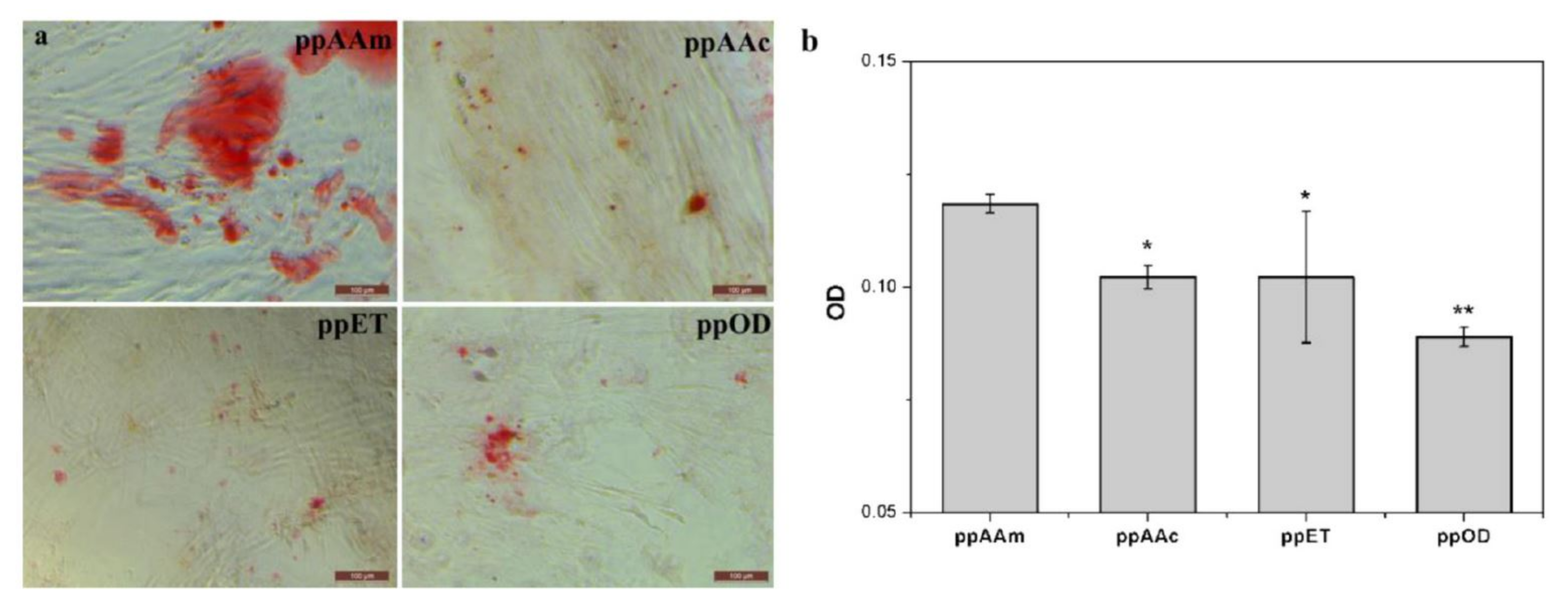 Coatings 11 00983 g004