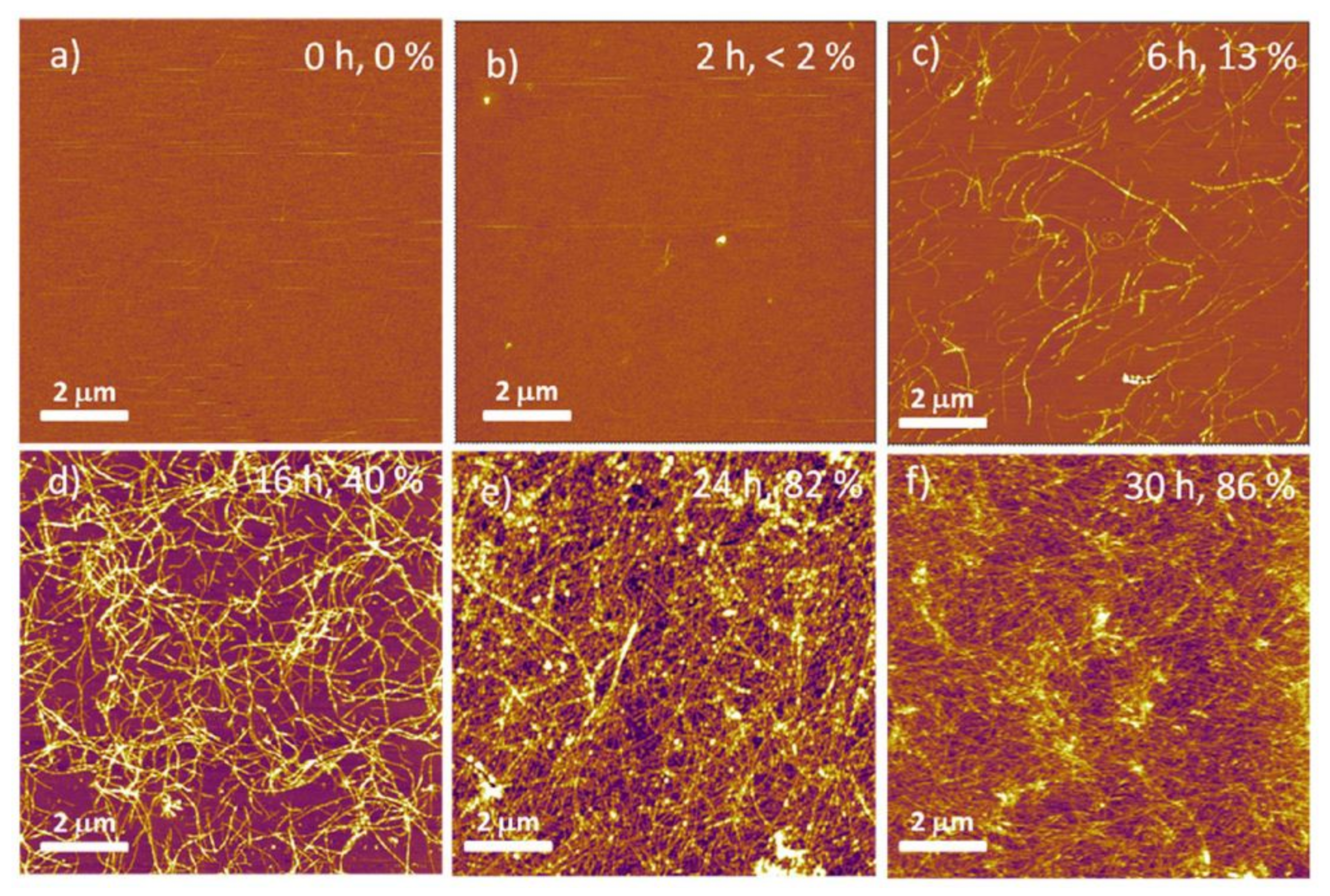 Coatings 11 00983 g007