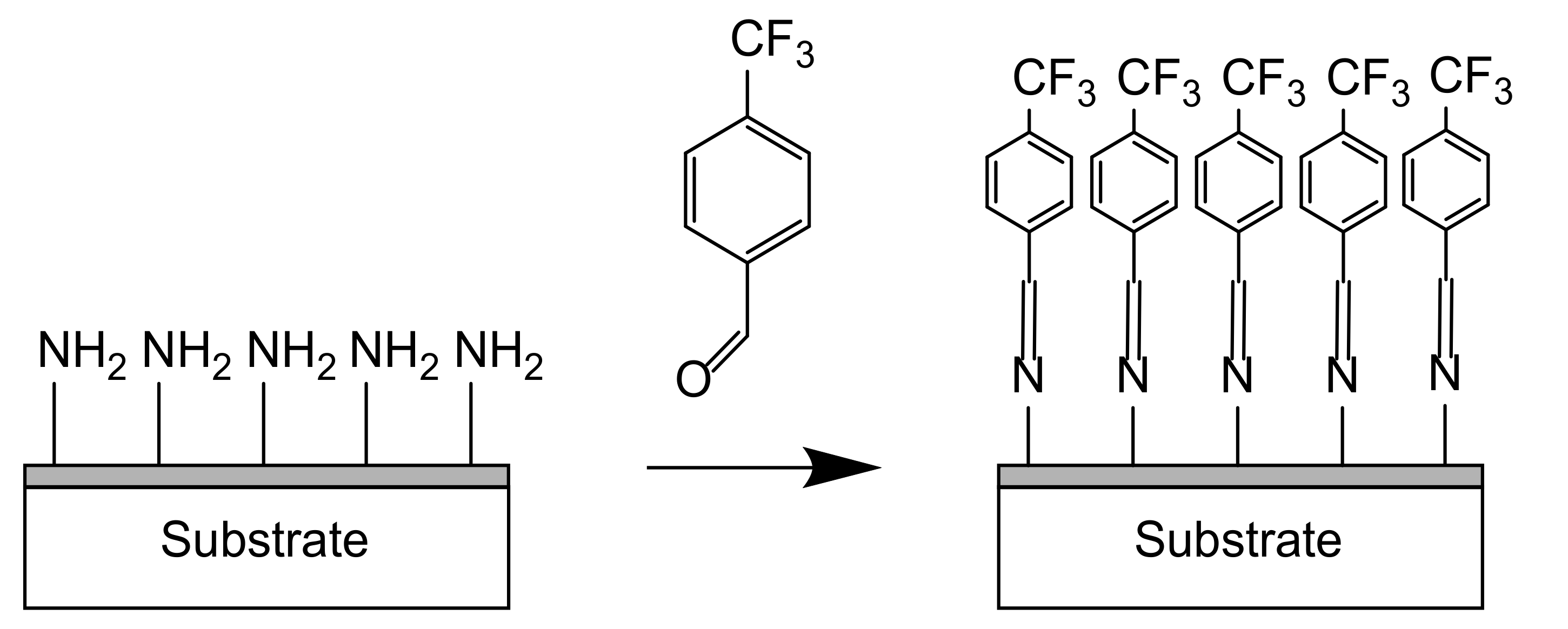 Coatings 11 00983 g008