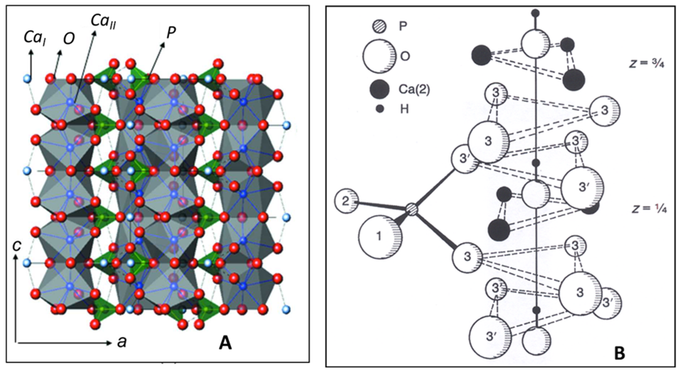 Coatings Free Full Text Structural Changes Of Hydroxylapatite During Plasma Spraying Raman And Nmr Spectroscopy Results Html