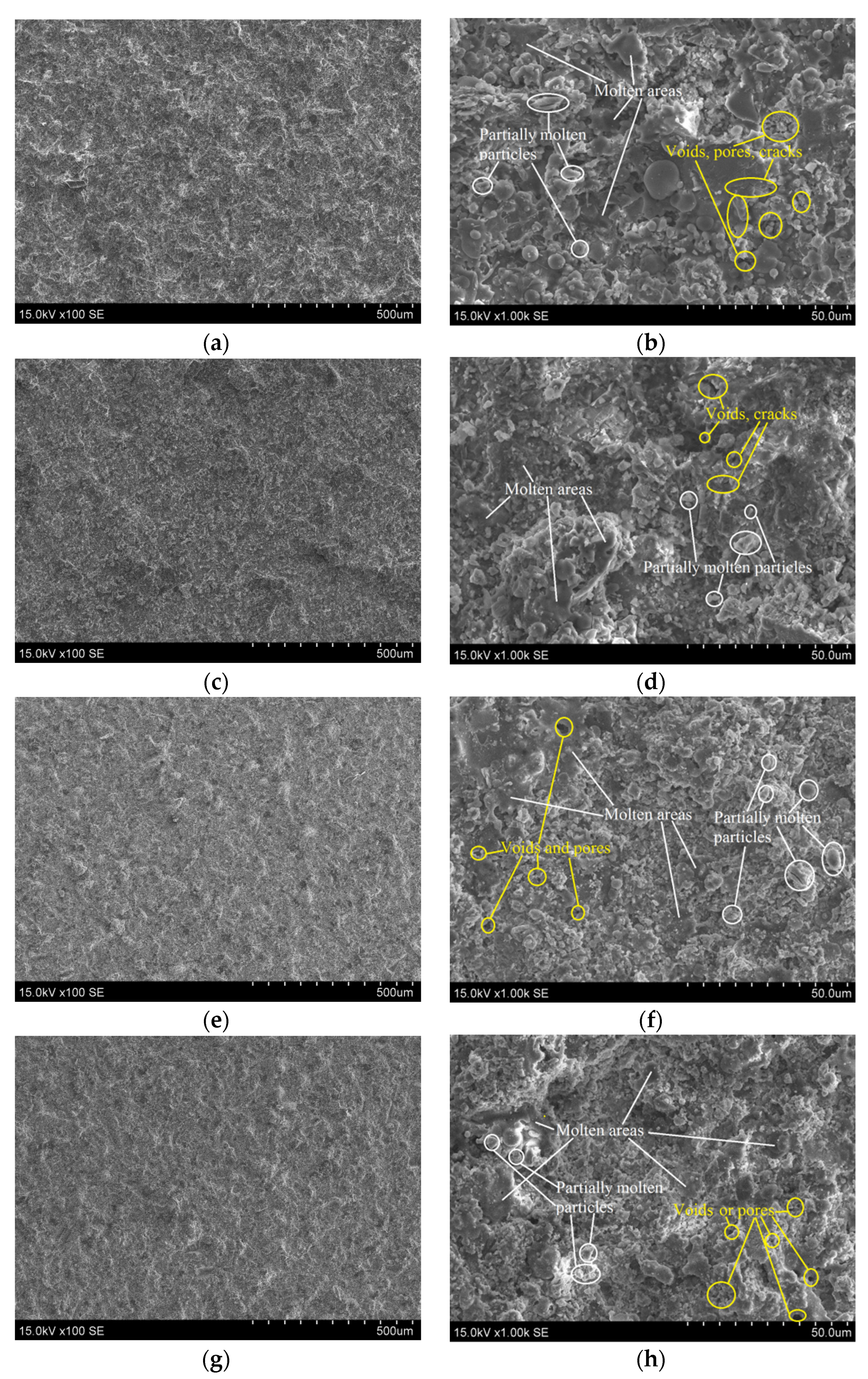 Coatings 11 00991 g001 550
