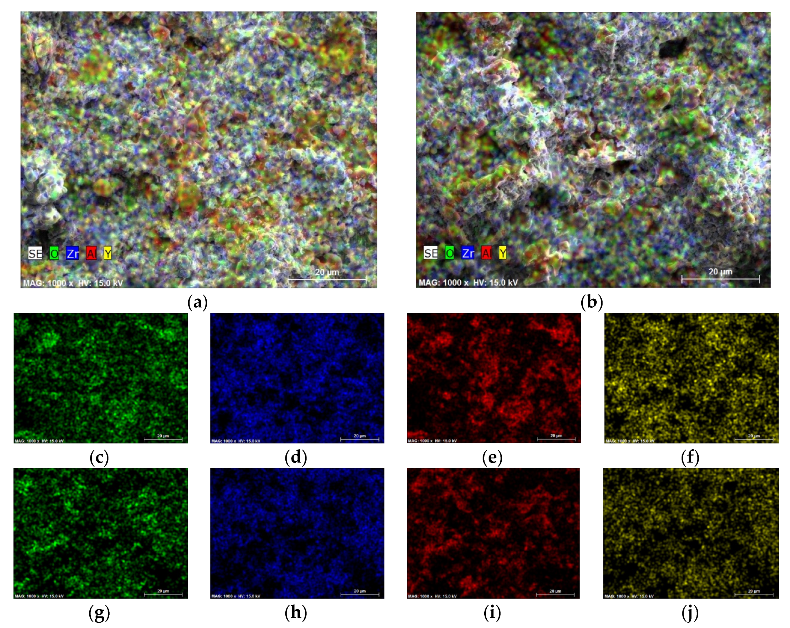 Coatings 11 00991 g002 550