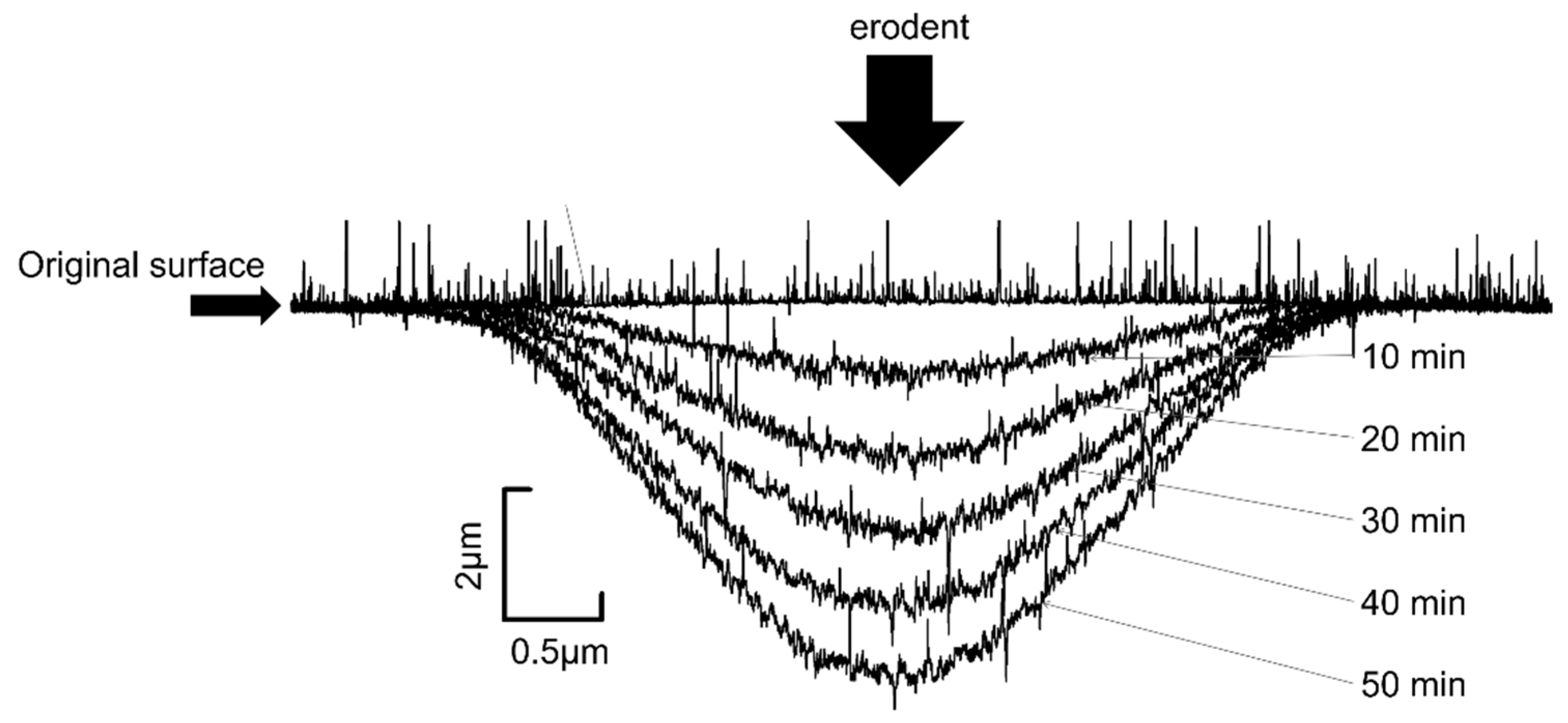Coatings 11 00992 g003 550