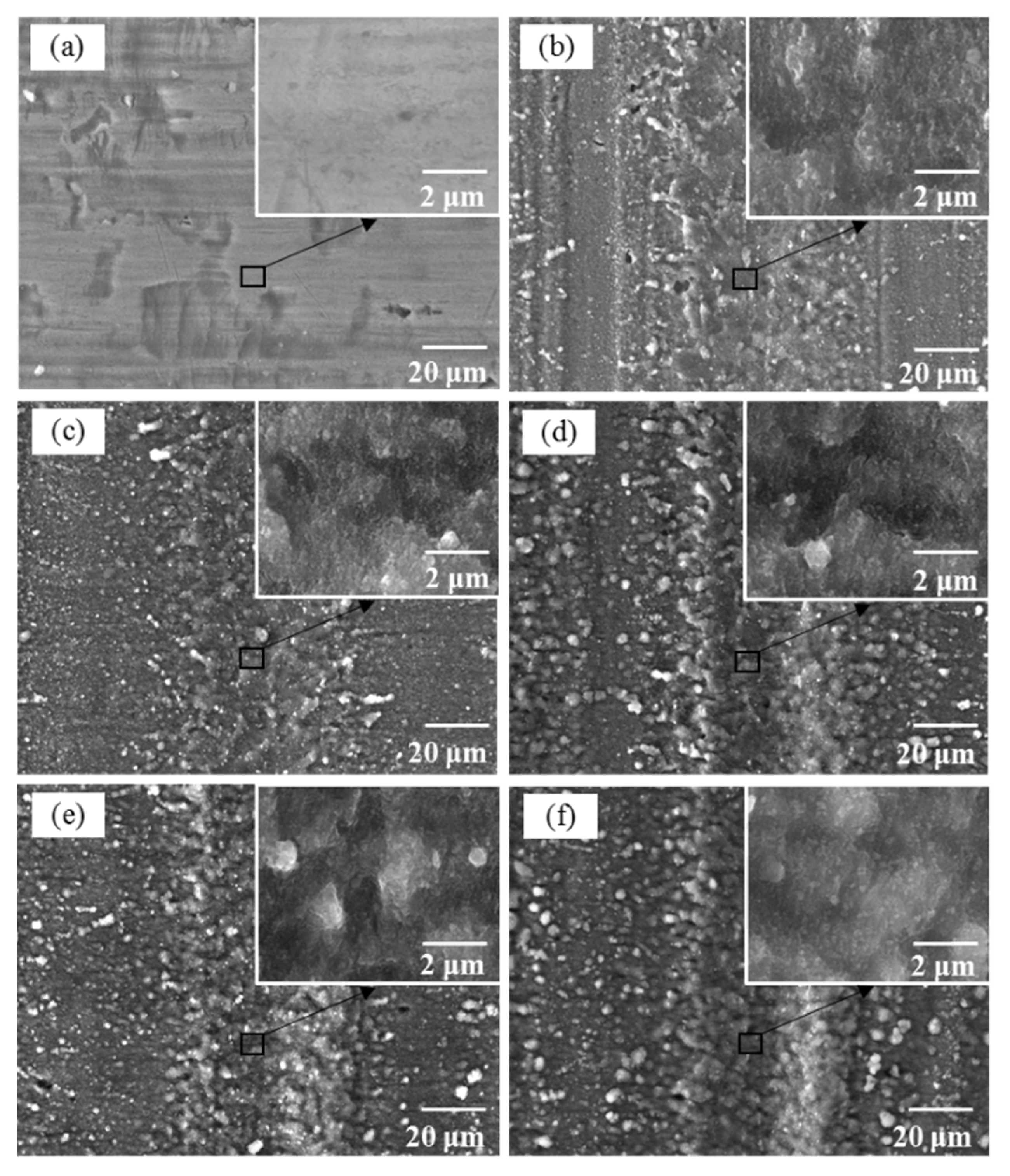 Coatings 11 00995 g006 550