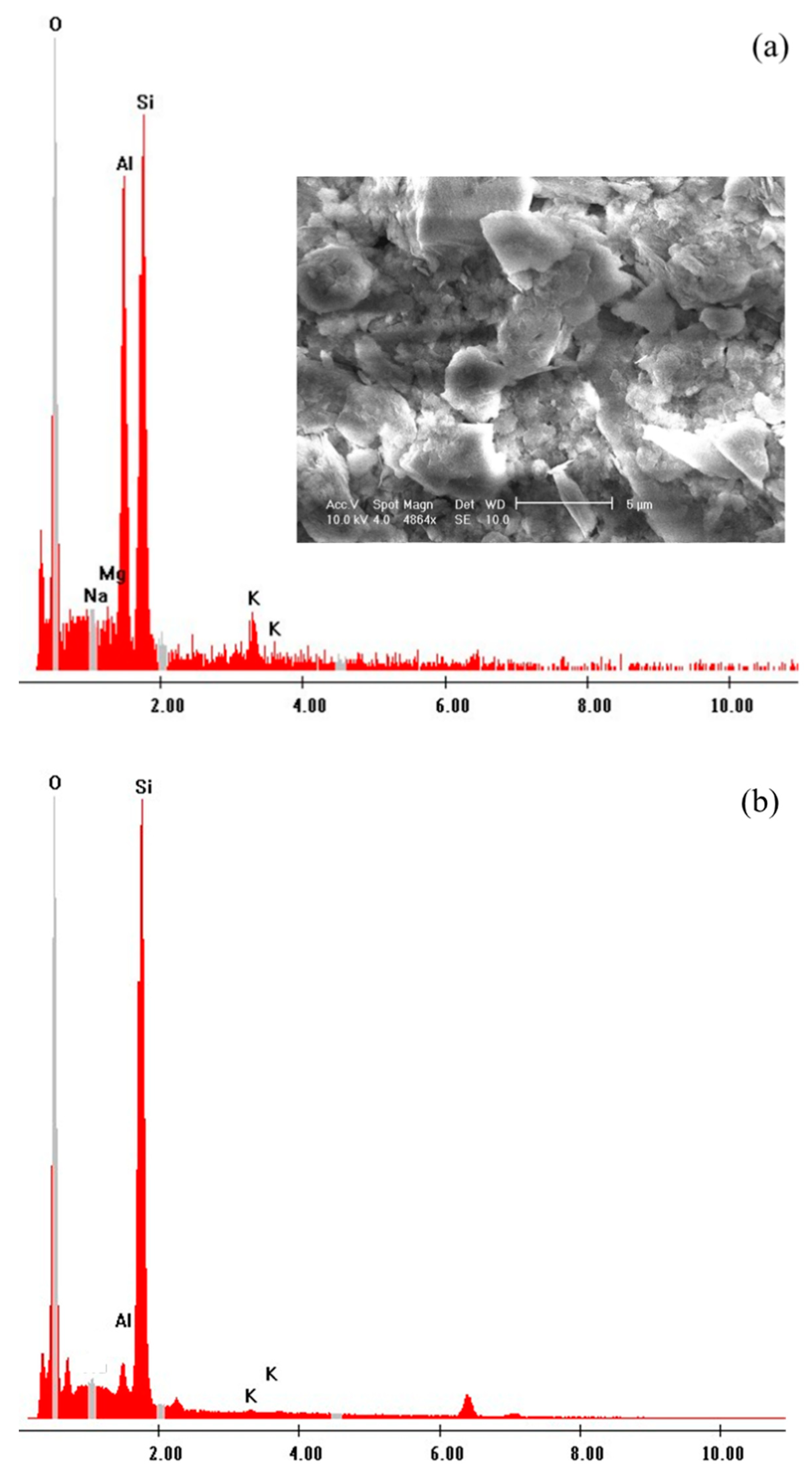 Coatings 11 00996 g001 550