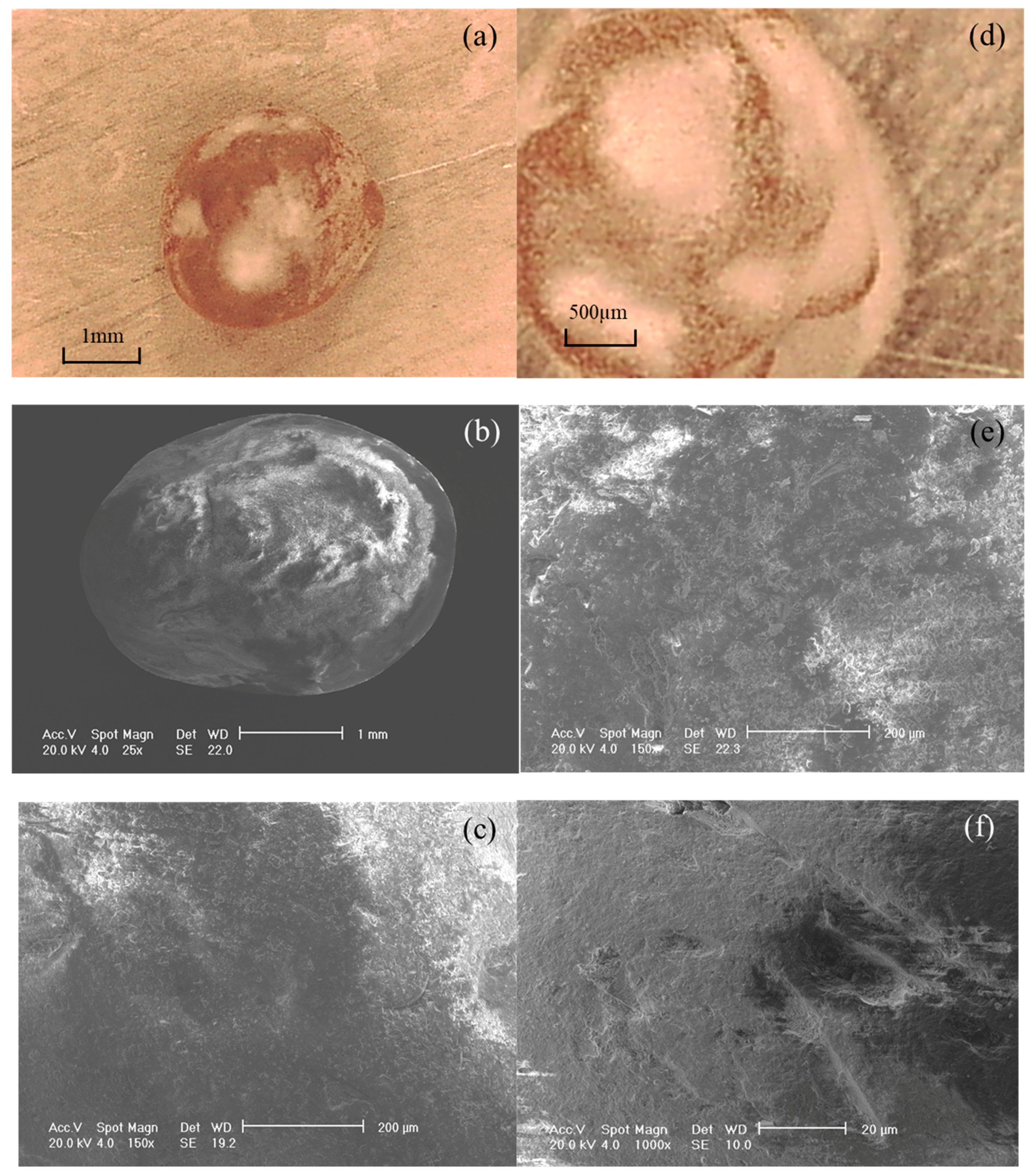 Coatings 11 00996 g002 550