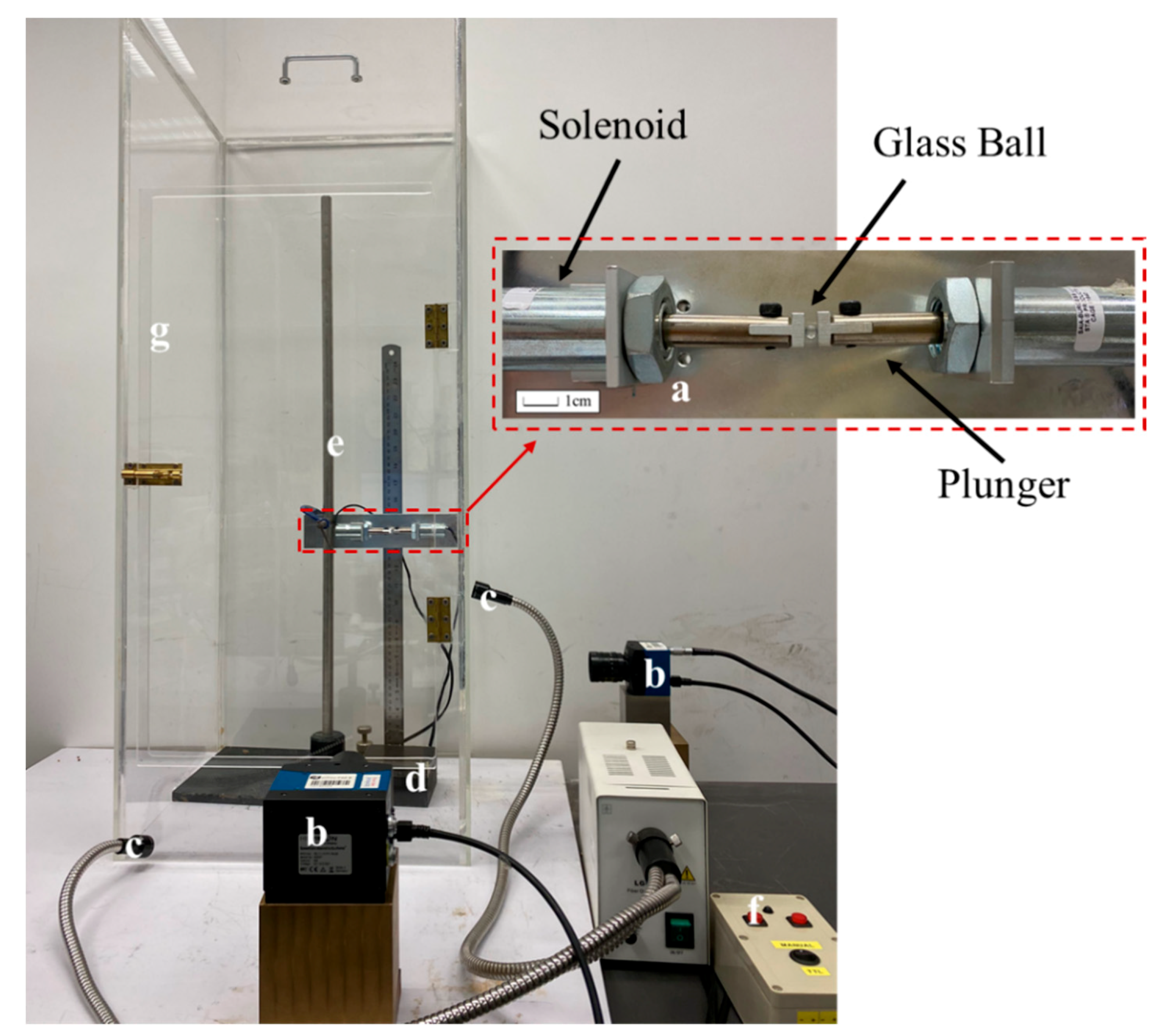Coatings 11 00996 g005 550