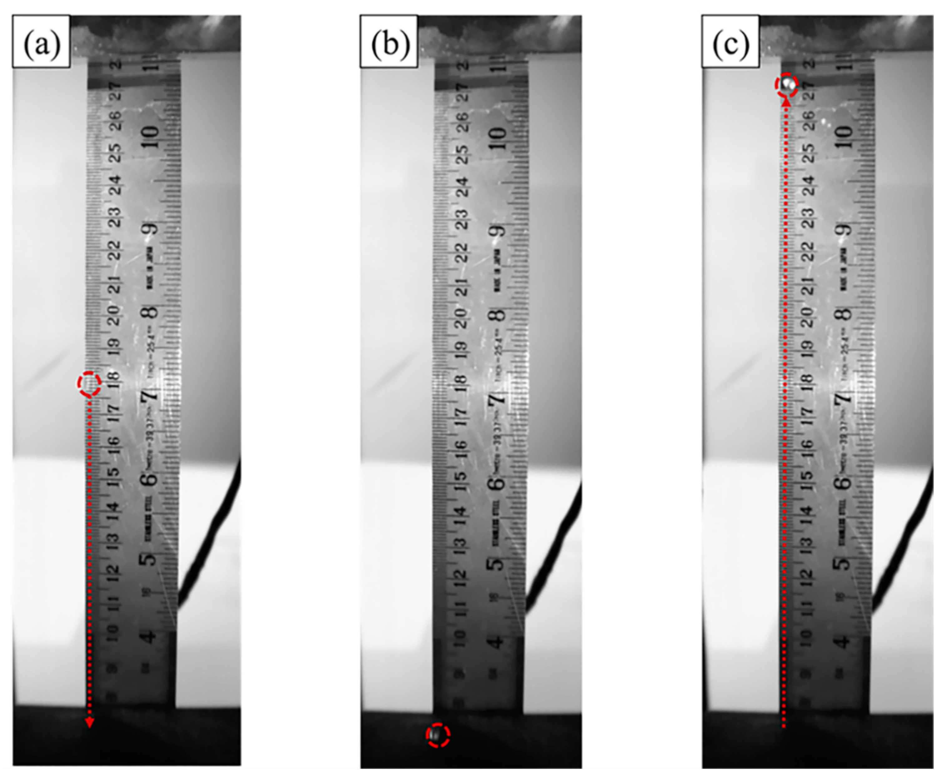 Coatings 11 00996 g006 550