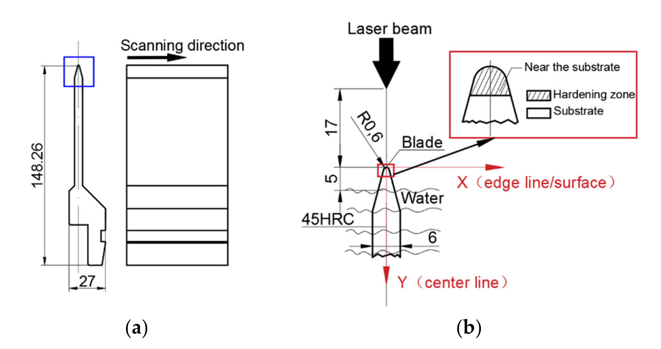 Coatings 11 00997 g001
