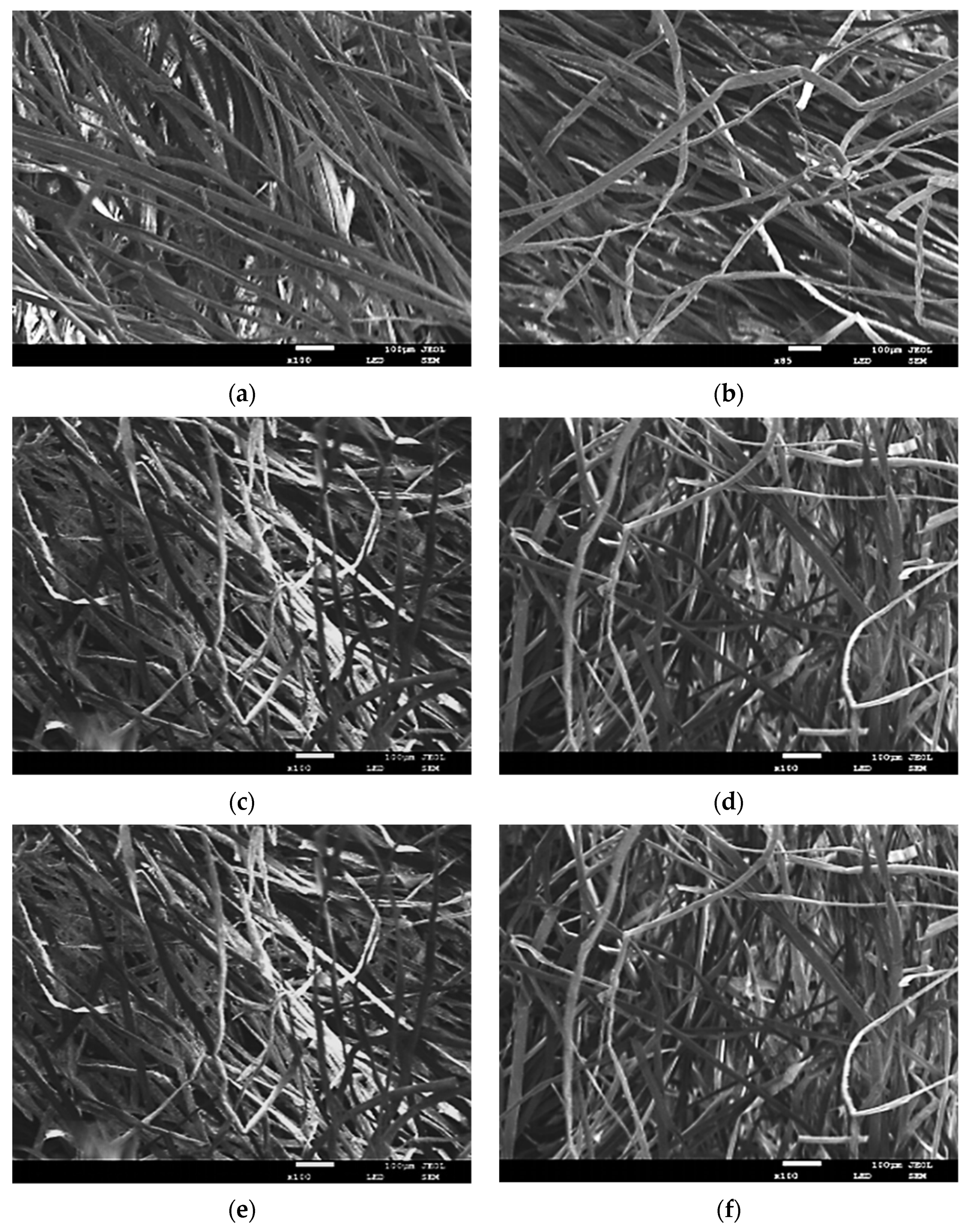 Coatings 11 01000 g007 550