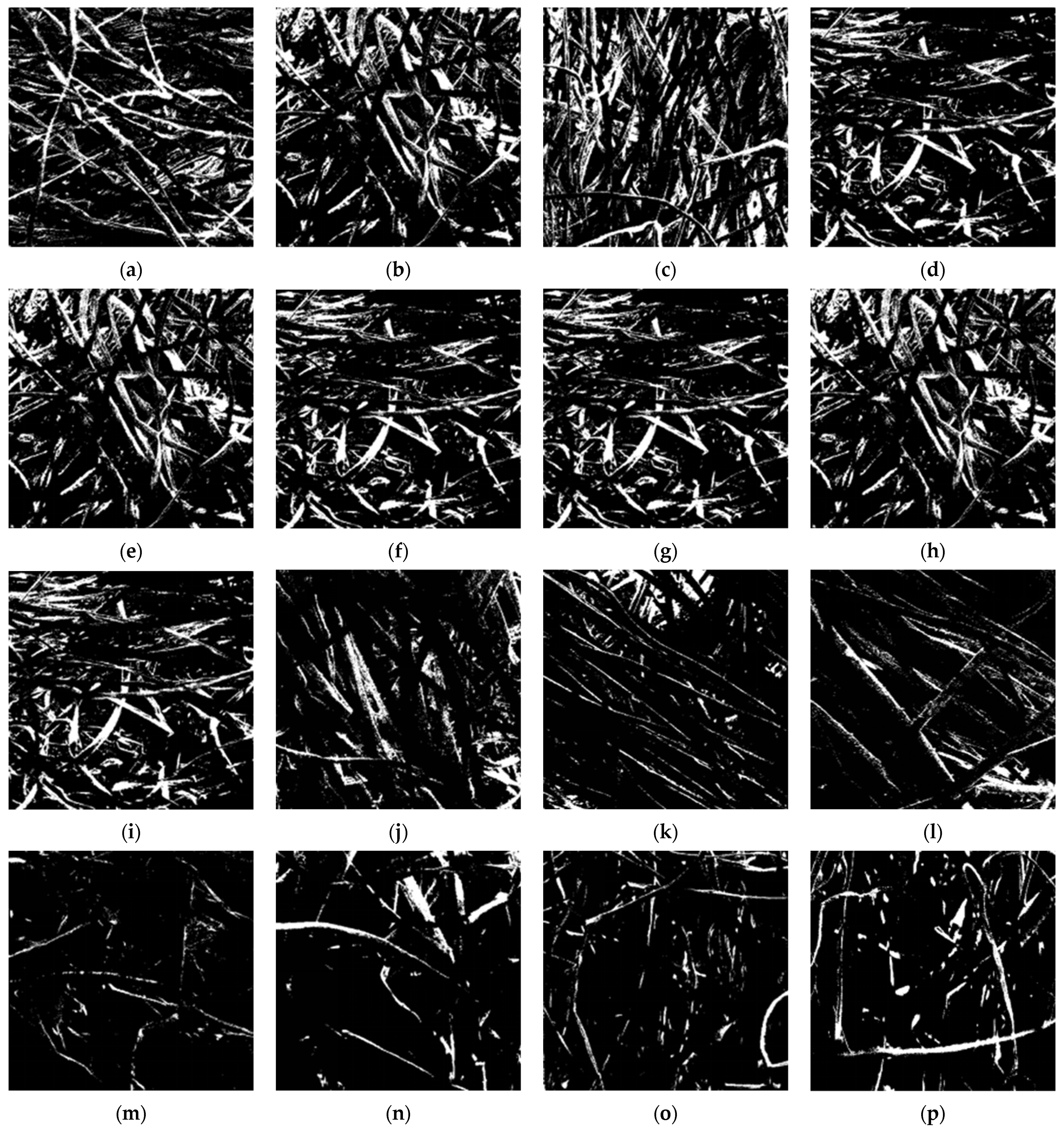 Coatings 11 01000 g0a1 550