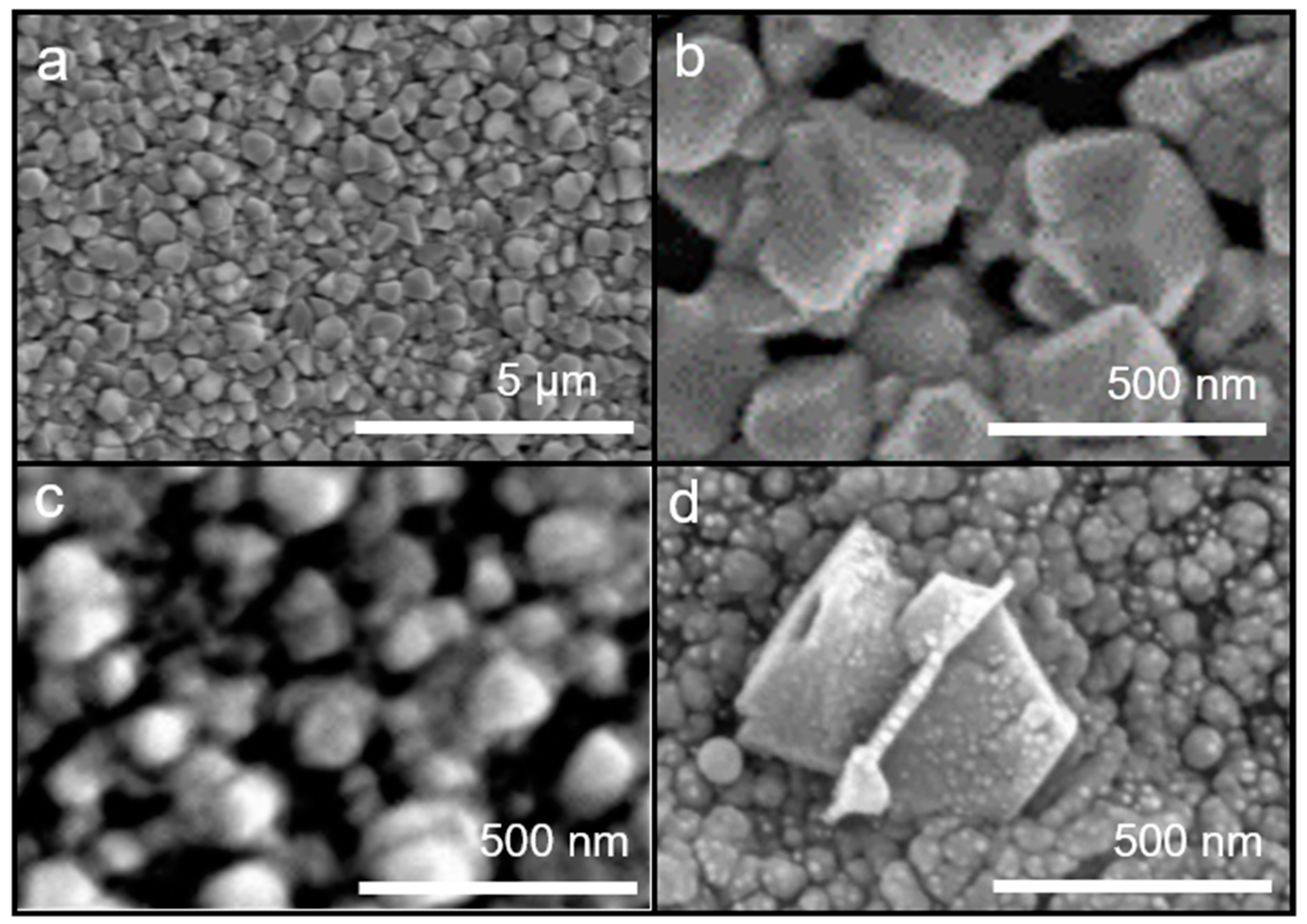 Coatings 11 01001 g002