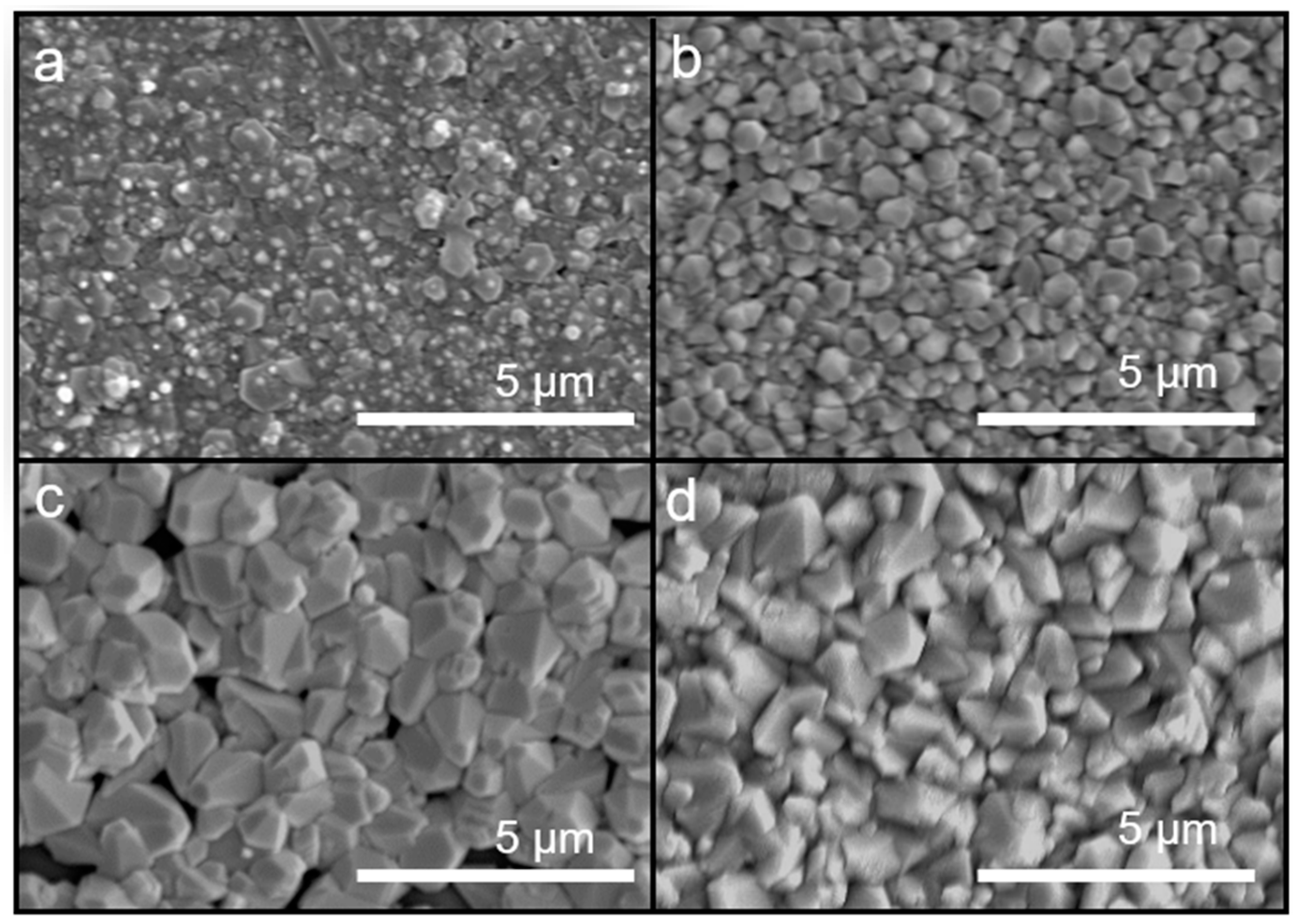 Coatings 11 01001 g003
