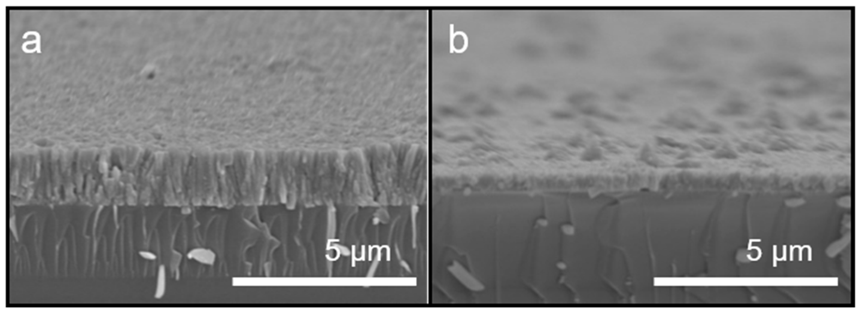 Coatings 11 01001 g004