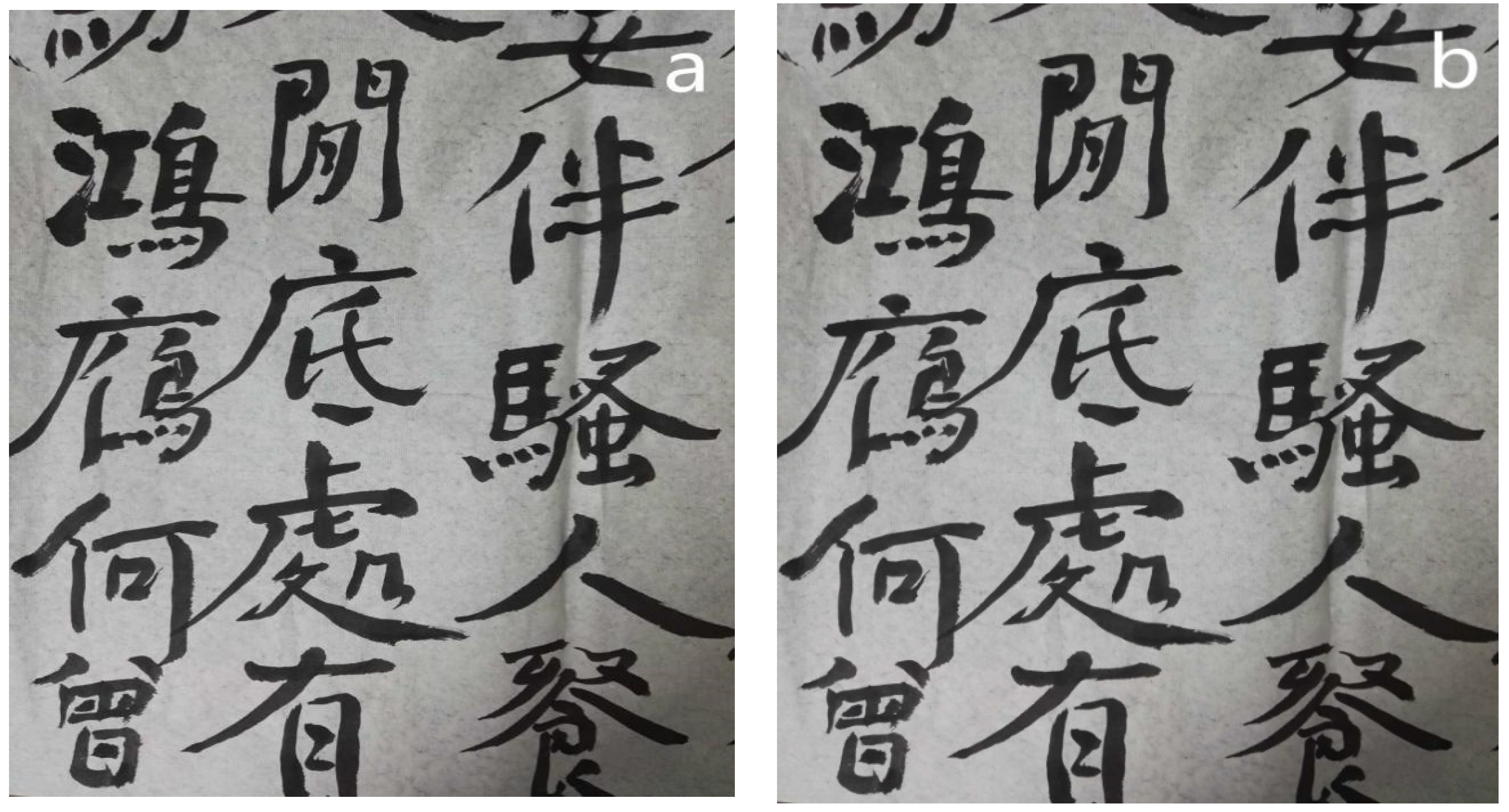 Coatings 11 01005 g013 550