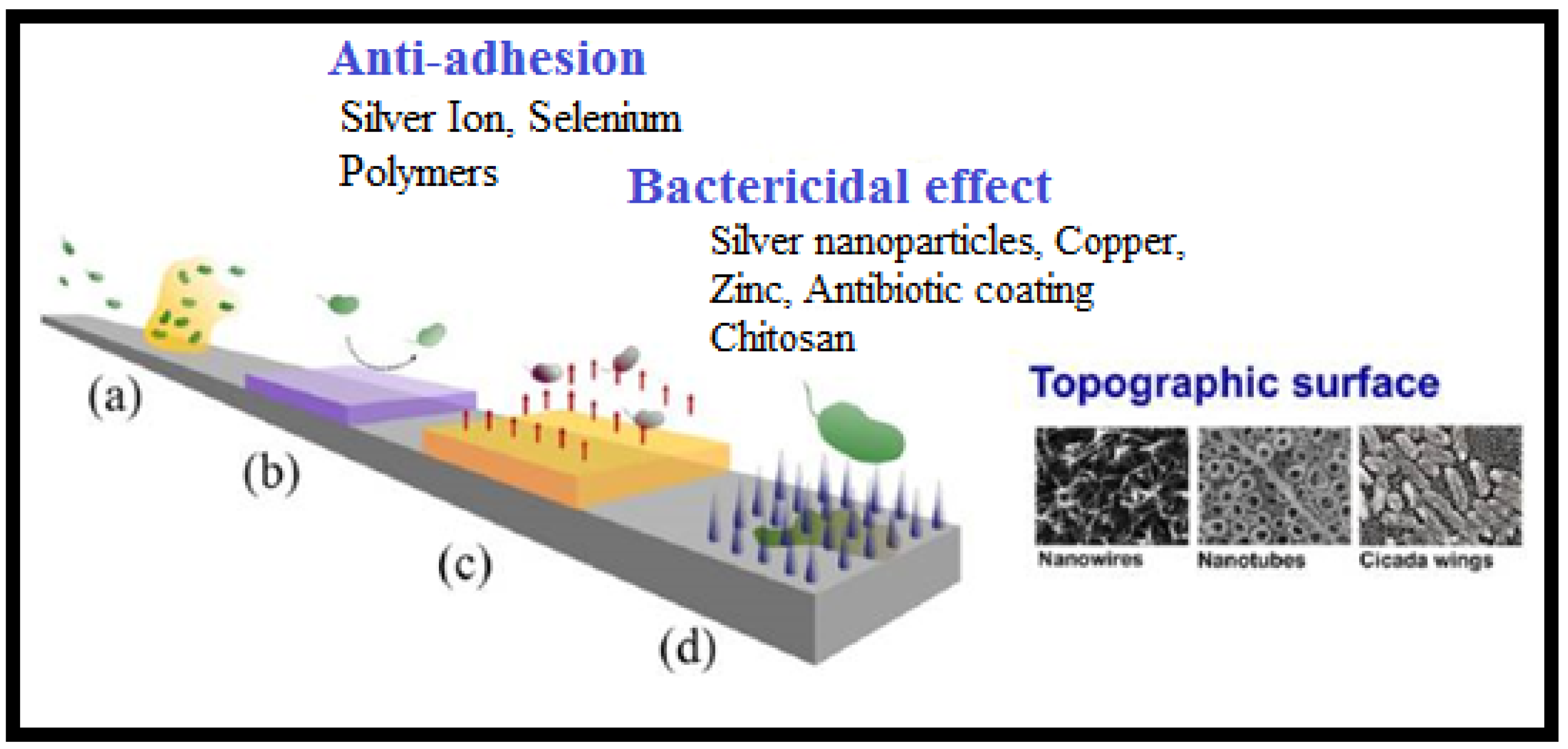 Coatings 11 01006 g005
