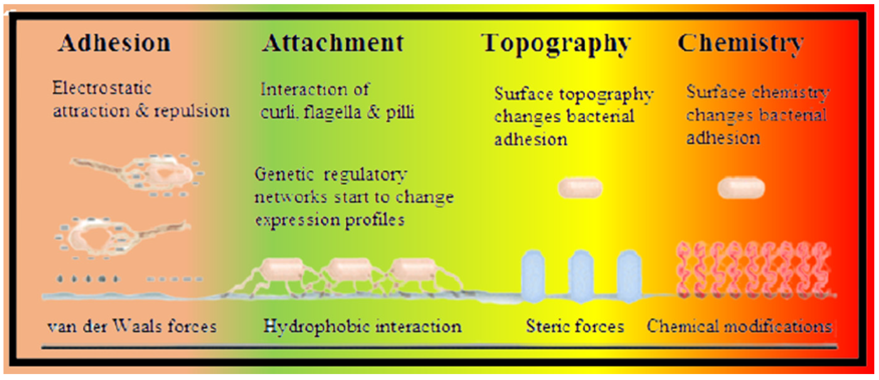 Coatings 11 01006 g007