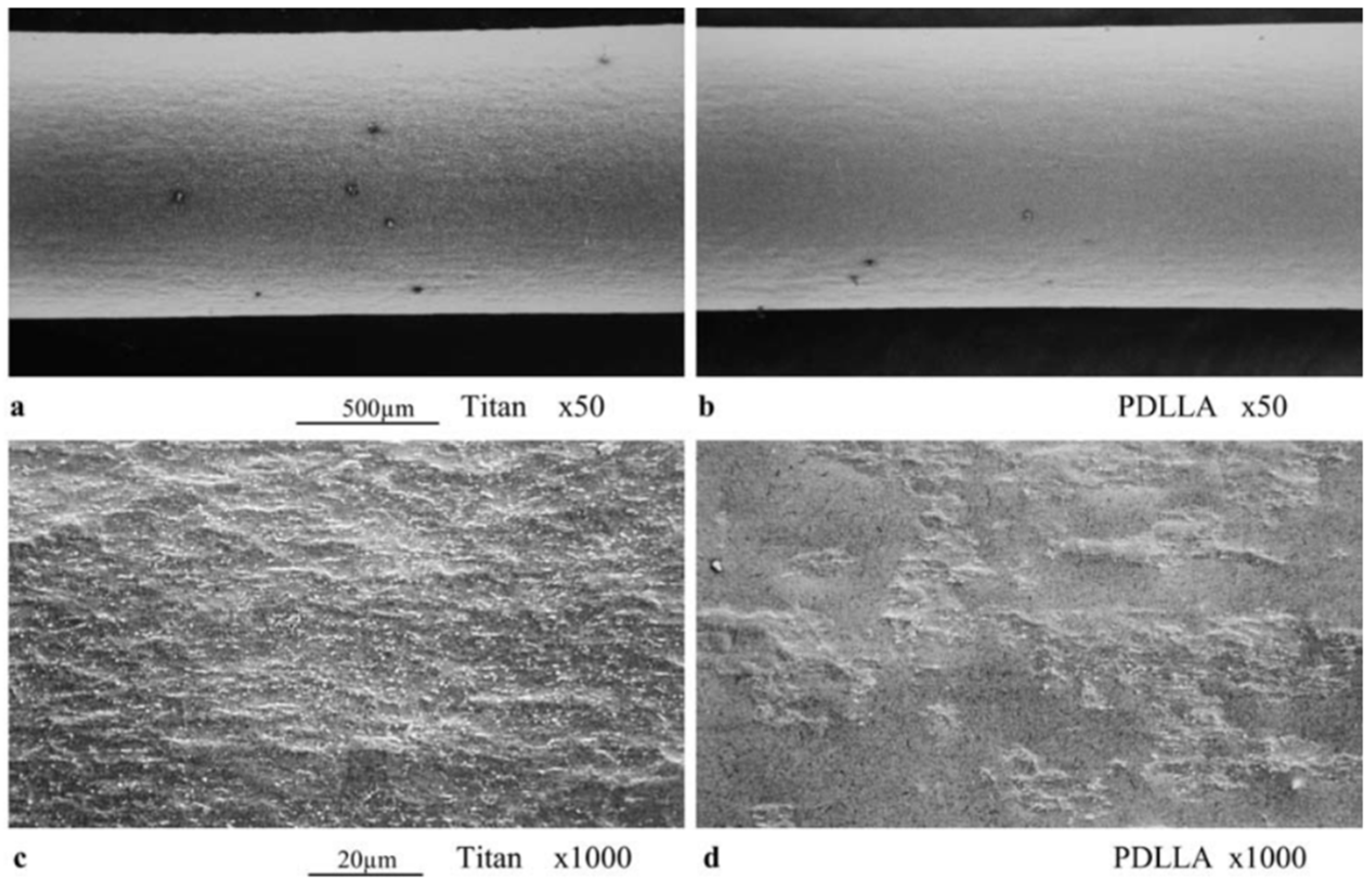 Coatings 11 01006 g010