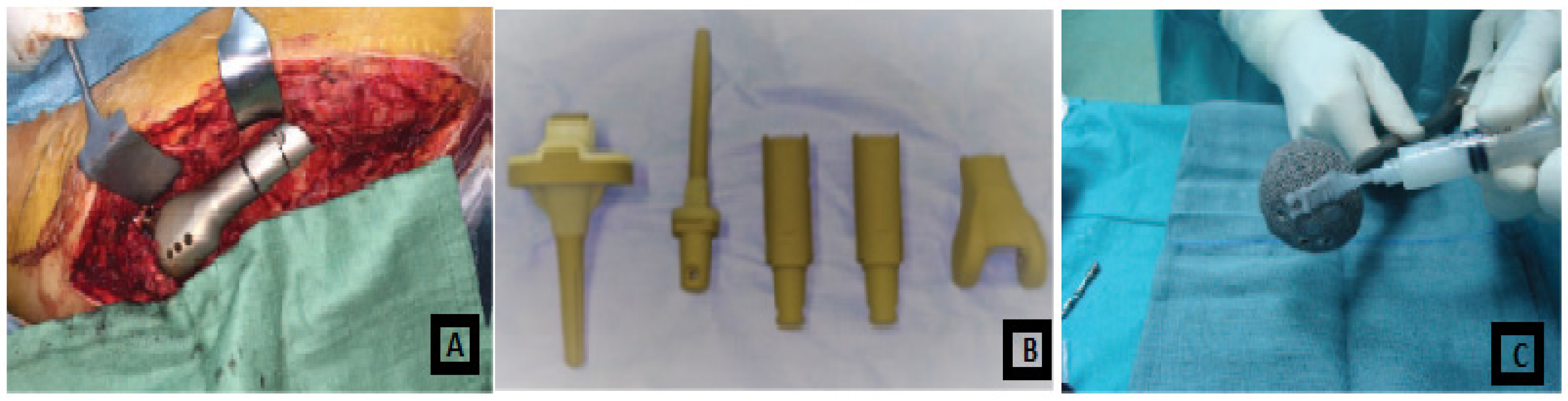 Coatings 11 01006 g011