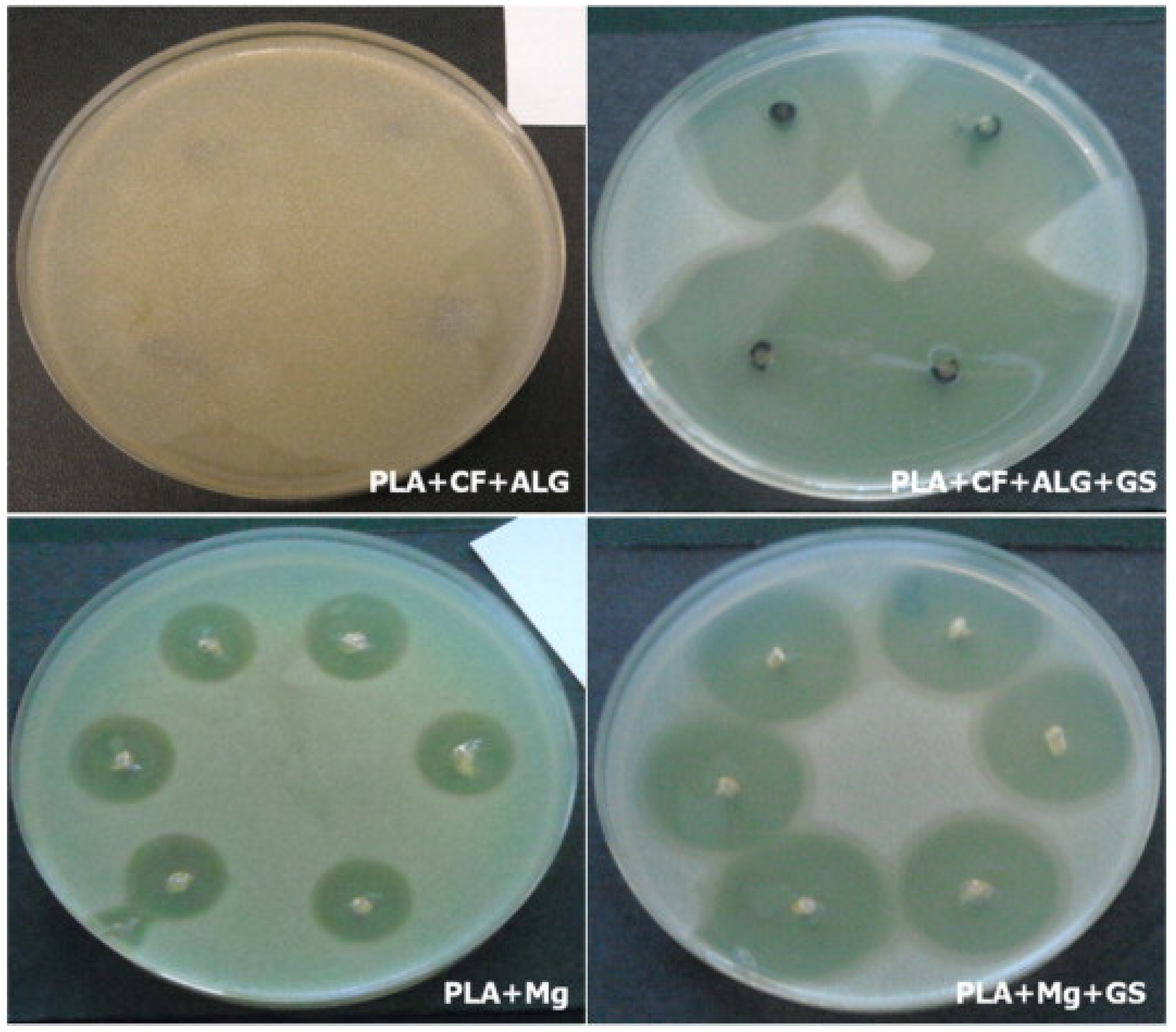 Coatings 11 01006 g018
