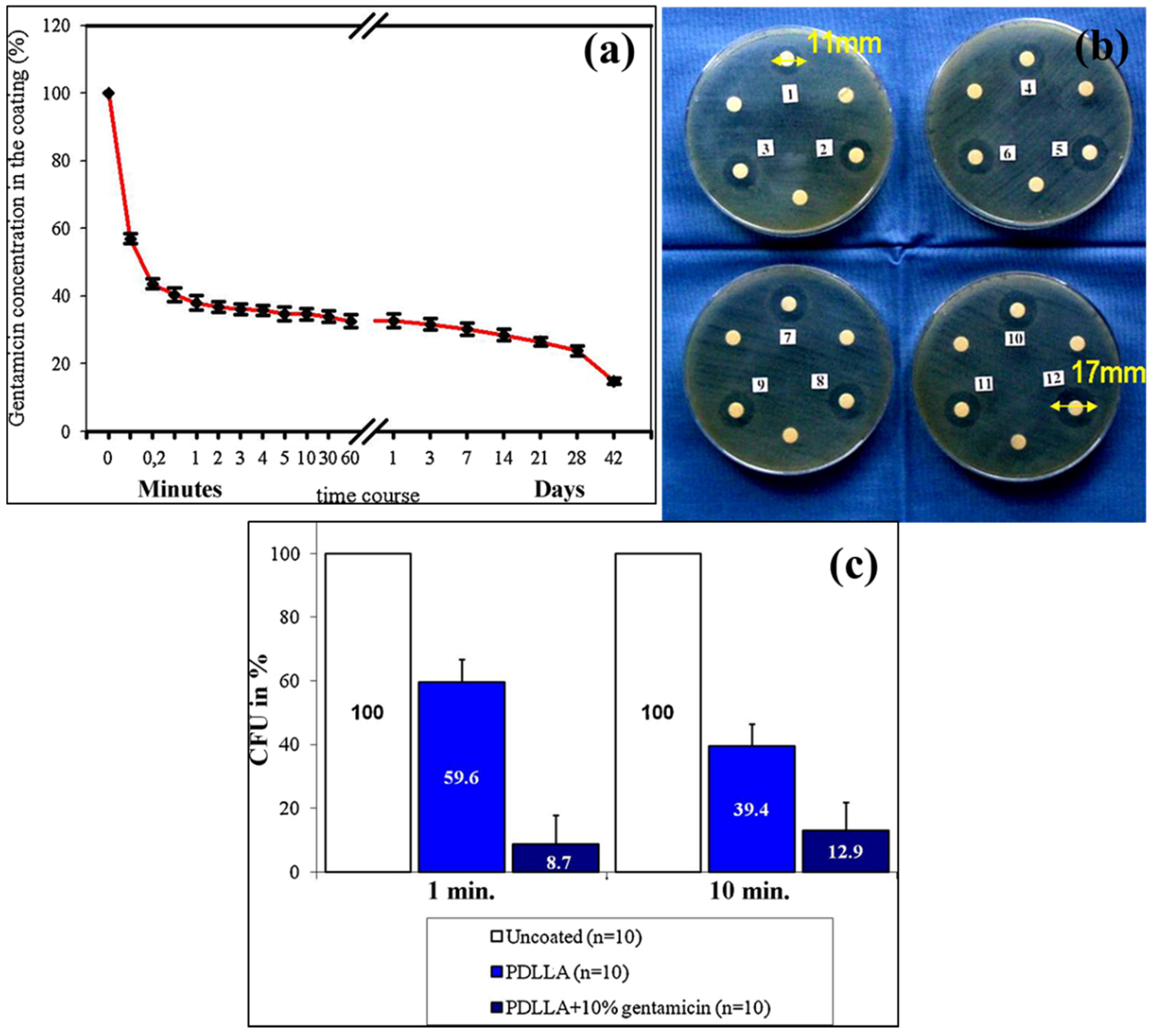 Coatings 11 01006 g019