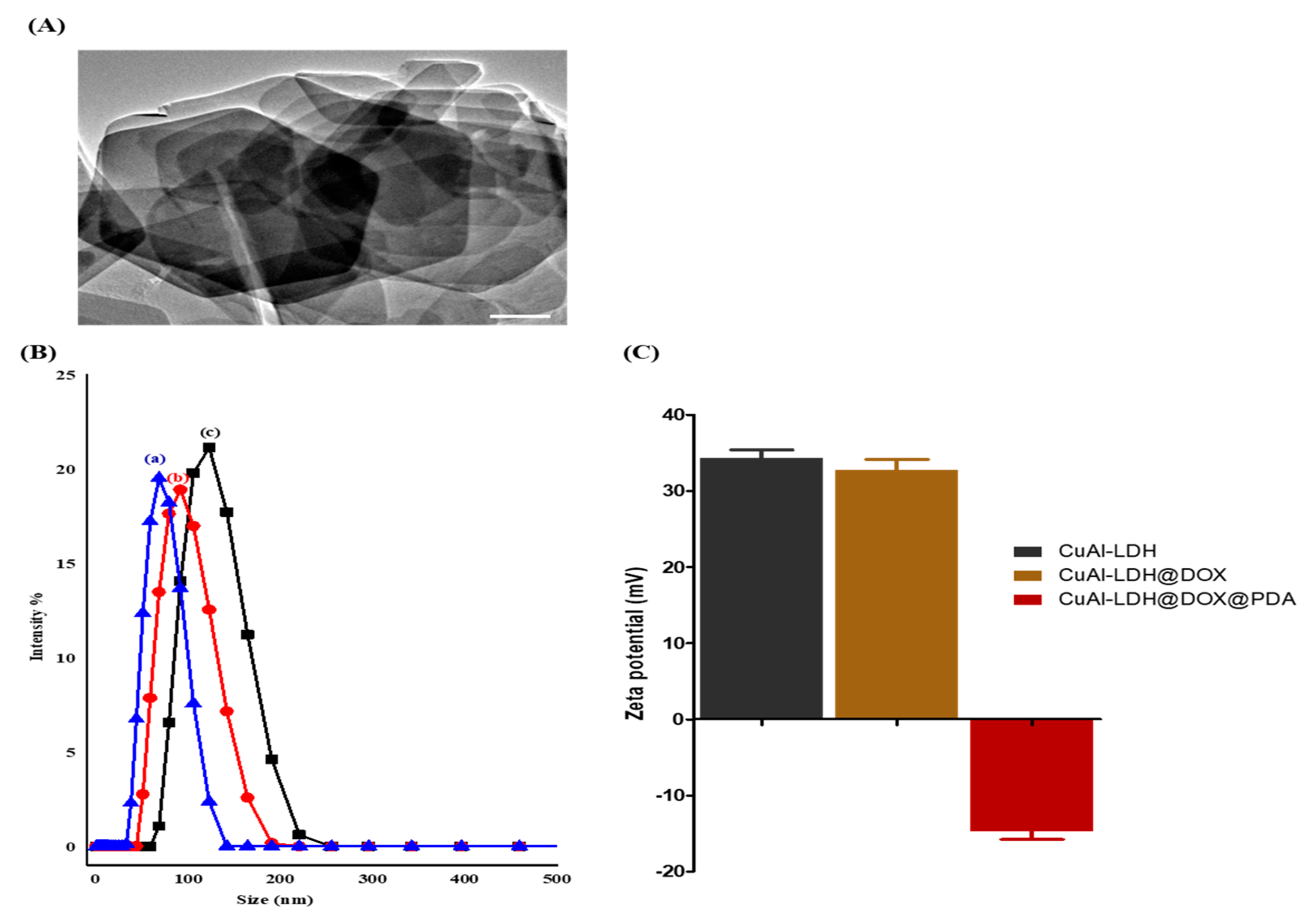 Coatings 11 01008 g001