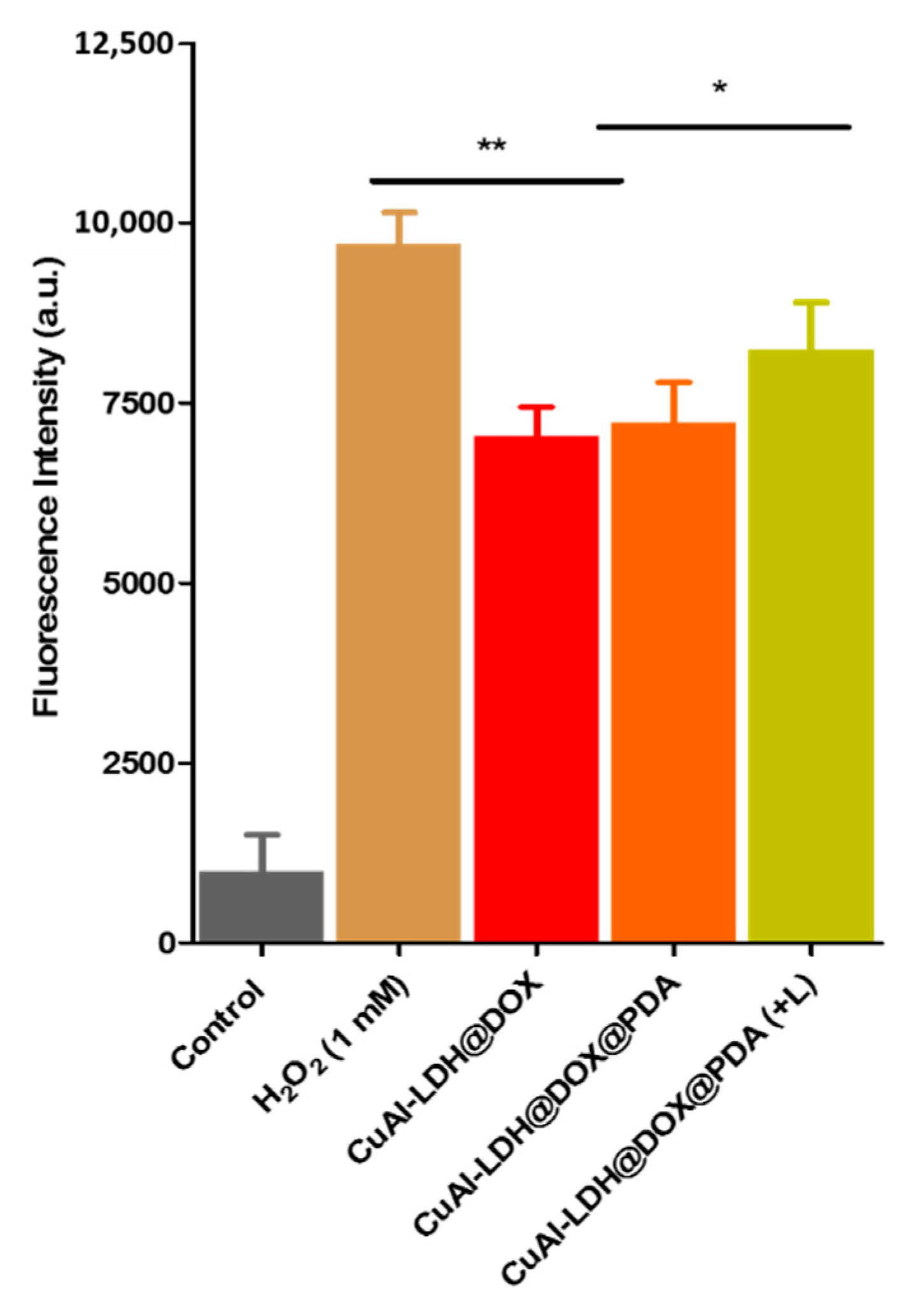 Coatings 11 01008 g006