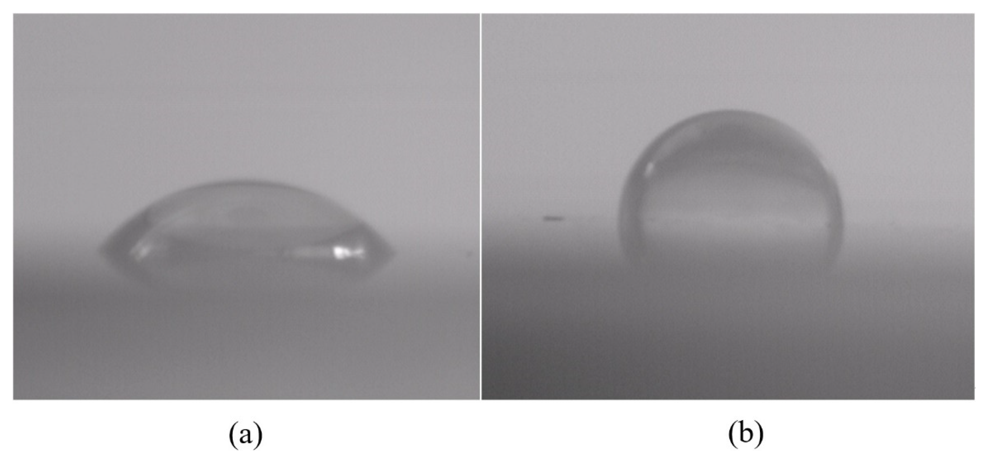 Coatings 11 01010 g005 Coatings 11 01010 g005