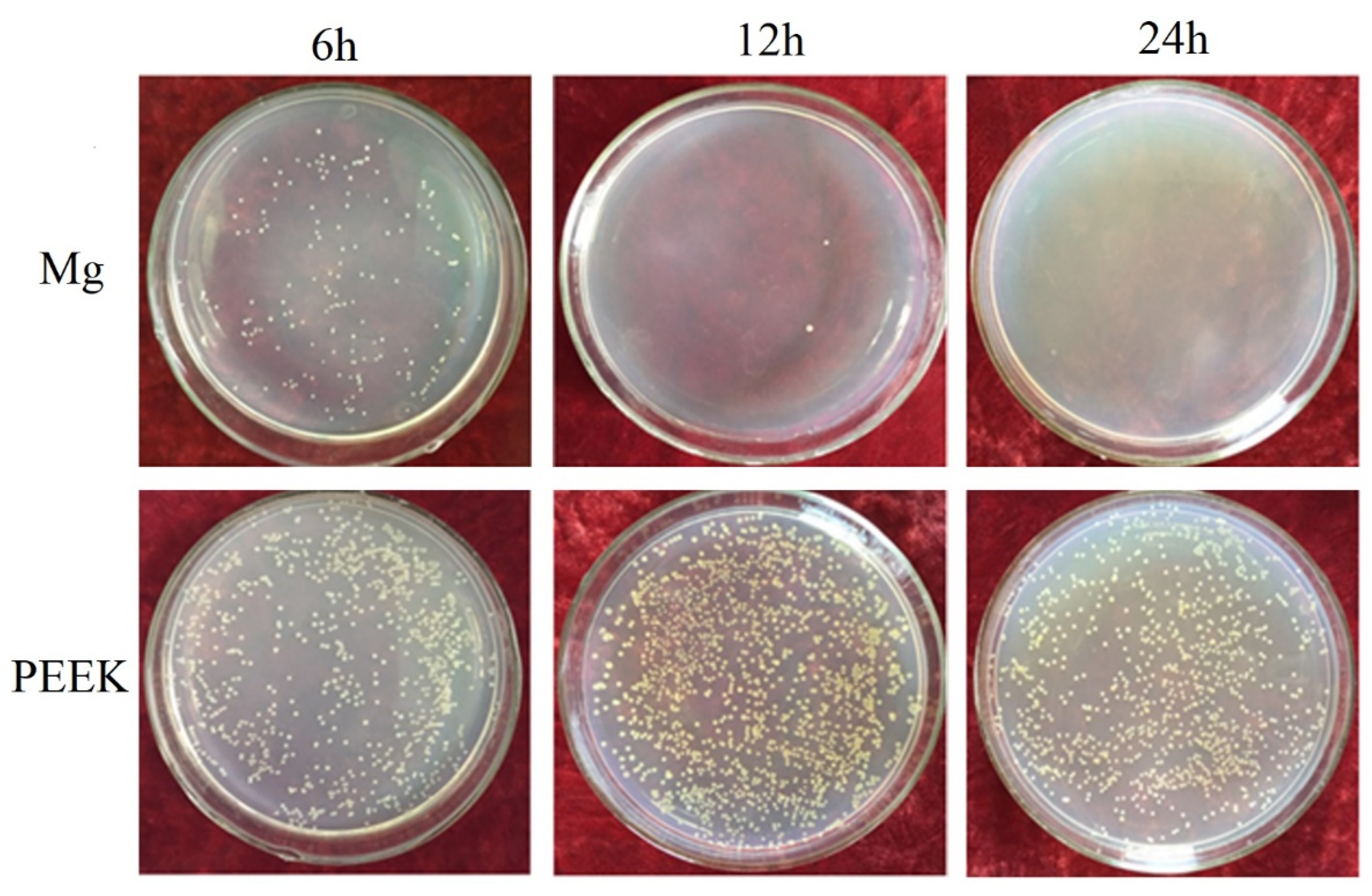 Coatings 11 01010 g007 Coatings 11 01010 g007