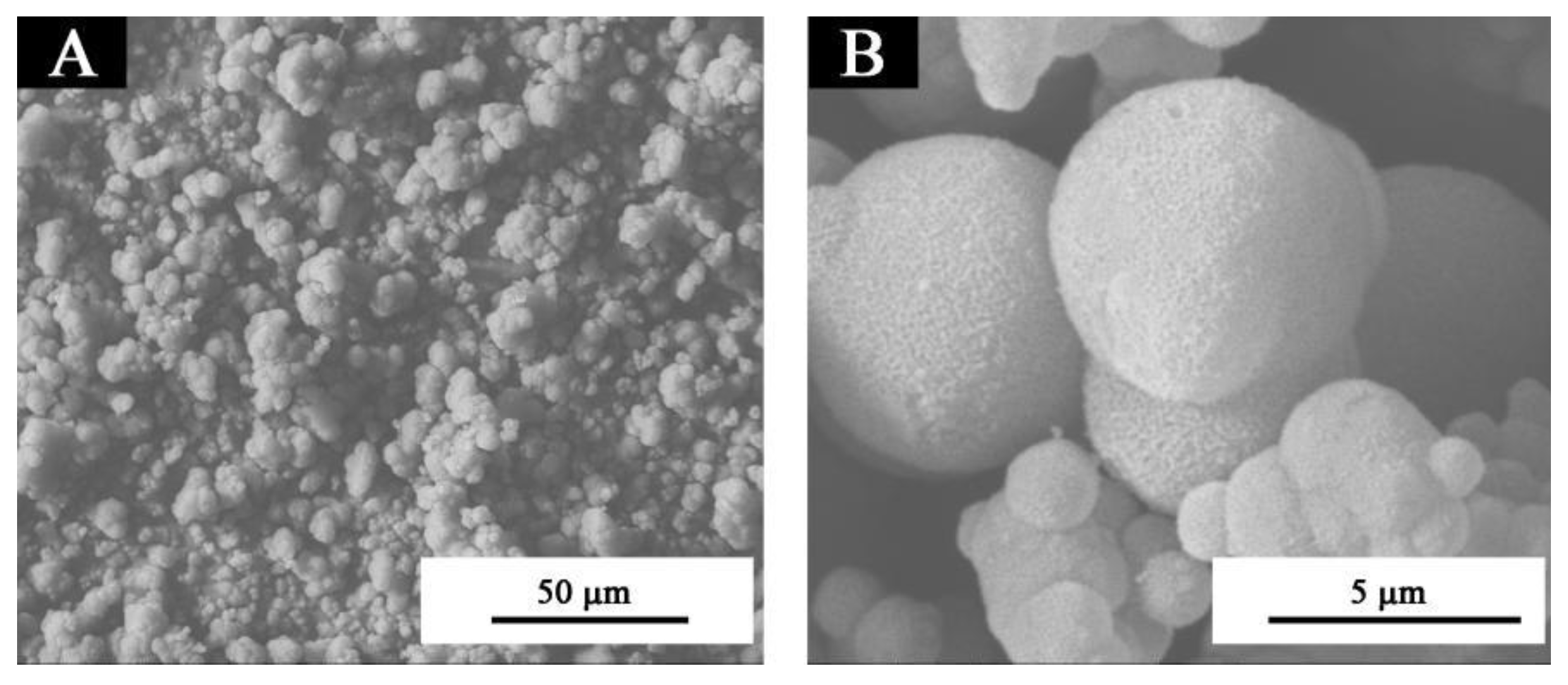 Coatings 11 01013 g004 550