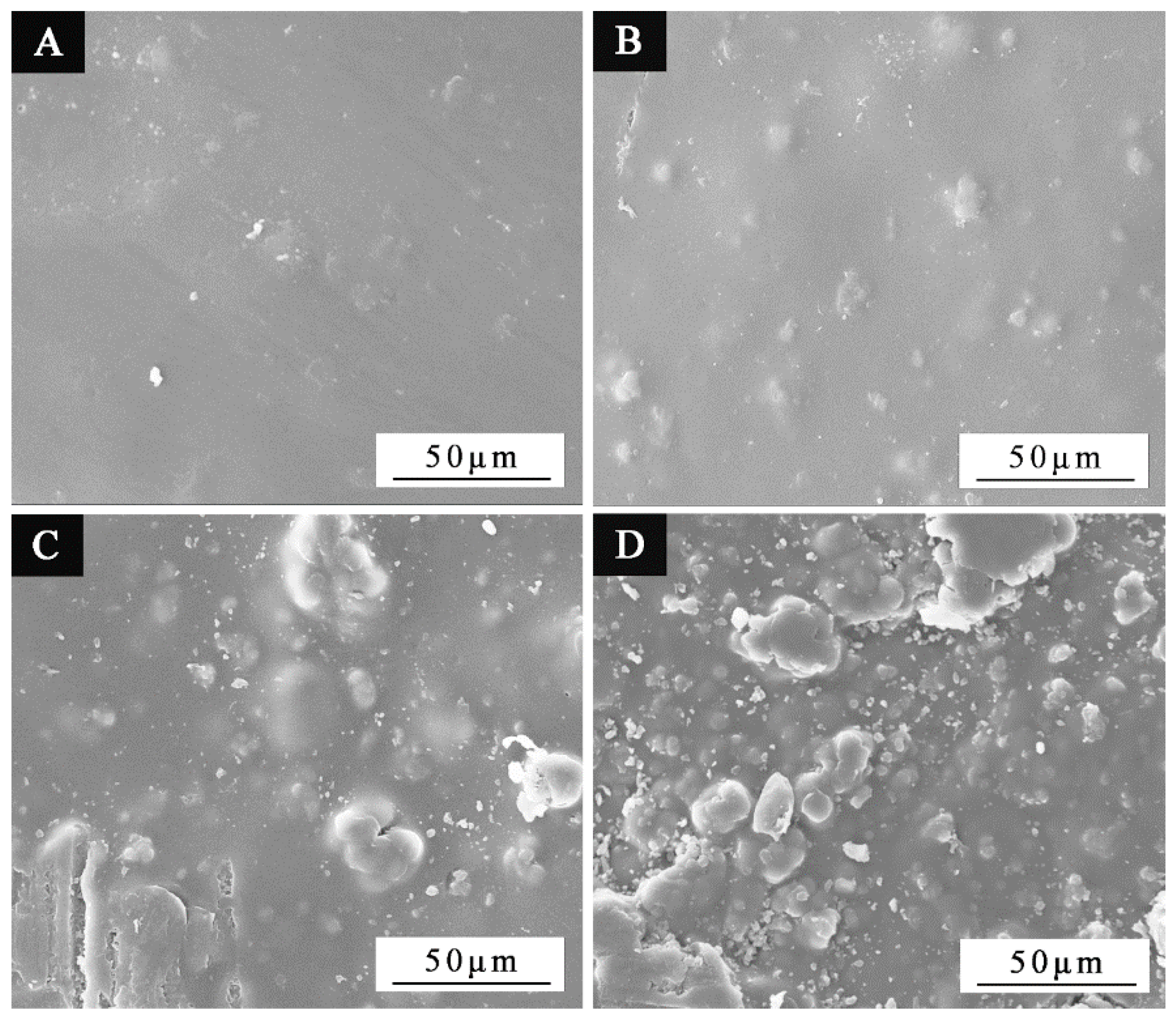 Coatings 11 01013 g005 550