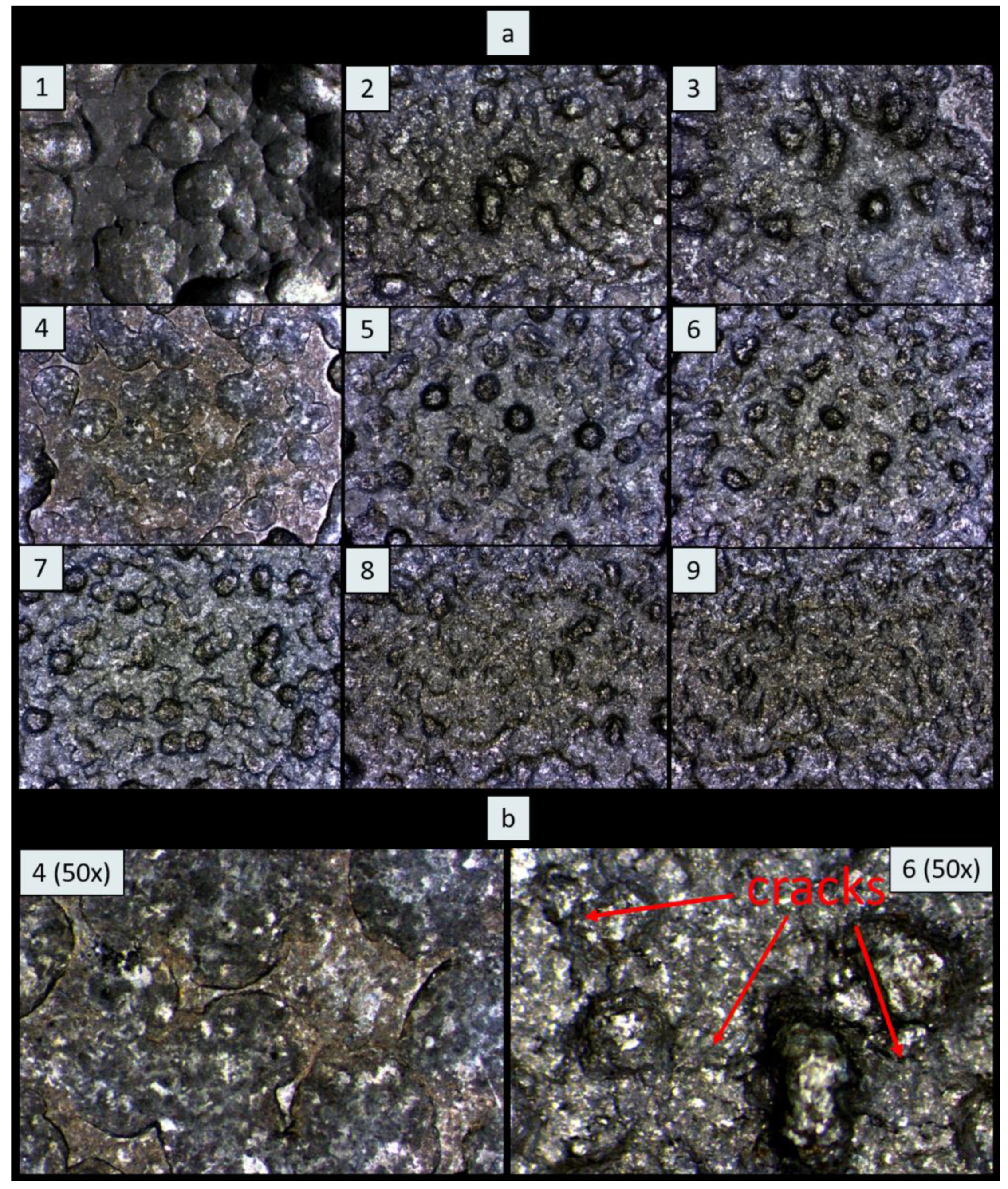 Coatings 11 01016 g003 550